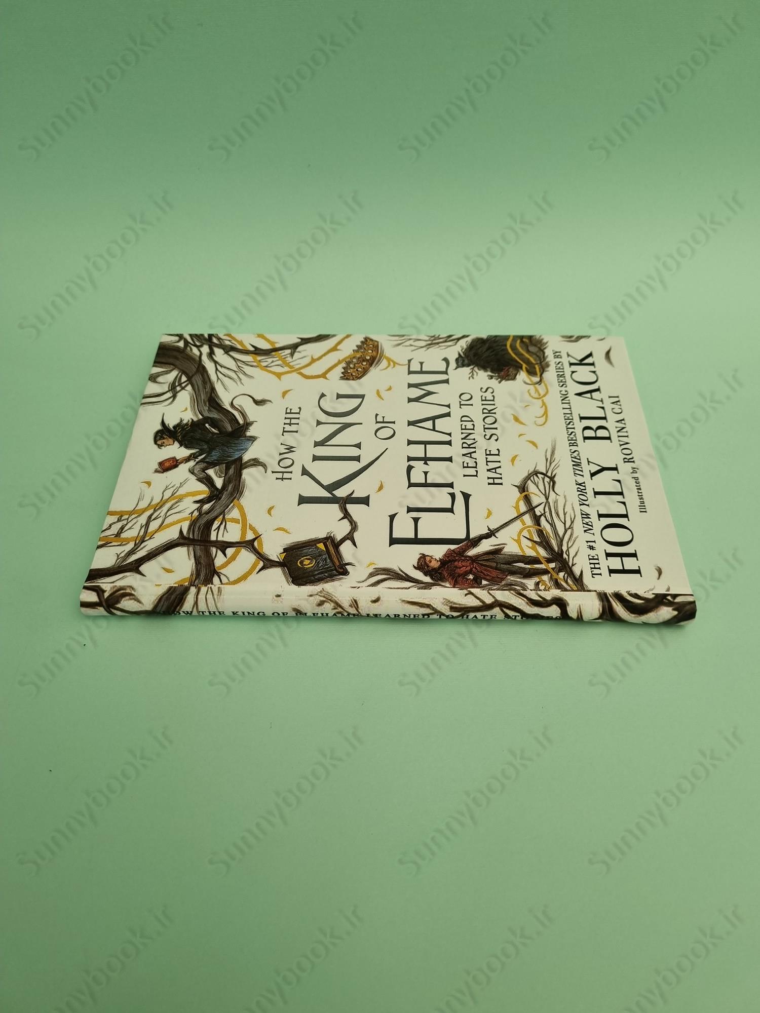 How the King of Elfhame Learned to Hate Stories (The Folk of the Air 3.5) main 1 4