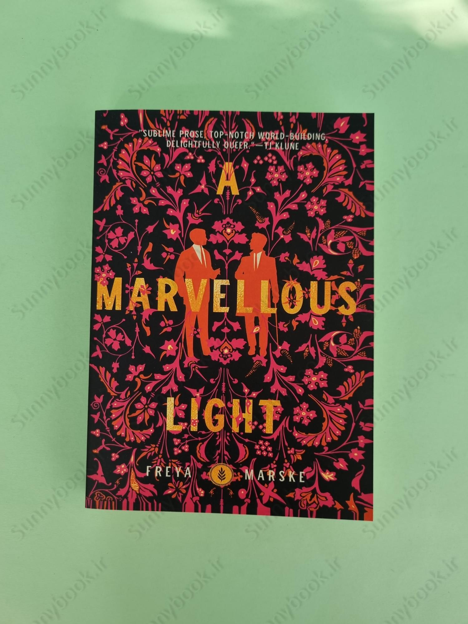 A Marvellous Light (The Last Binding 1) main 1 2