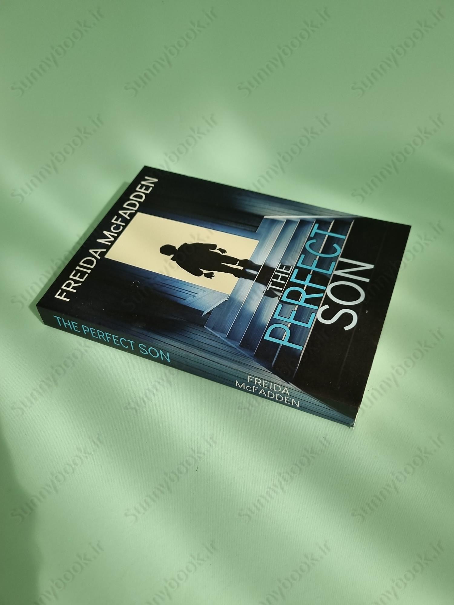 The Perfect Son main 1 3