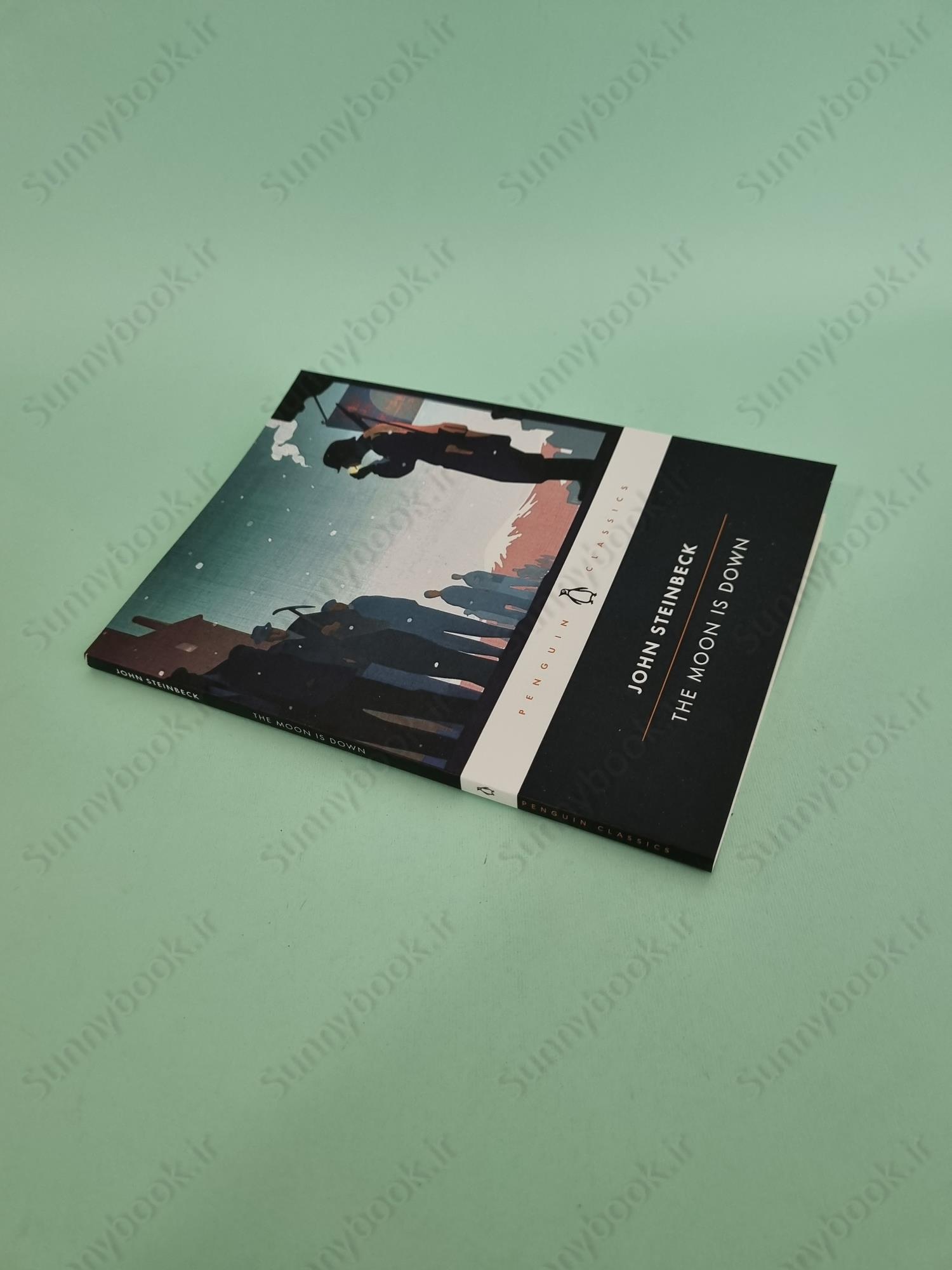 The Moon Is Down main 1 3