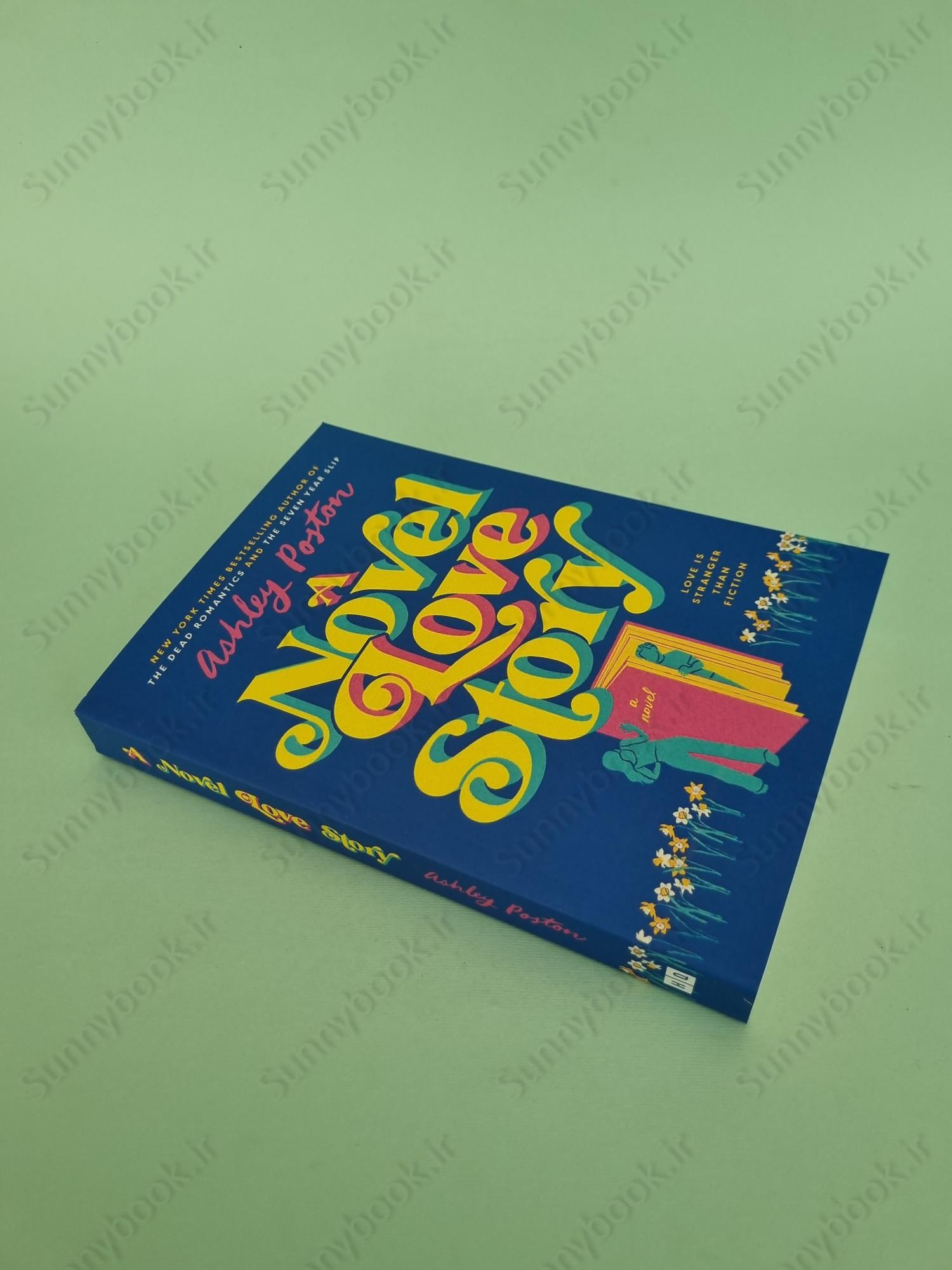 A Novel Love Story main 1 3