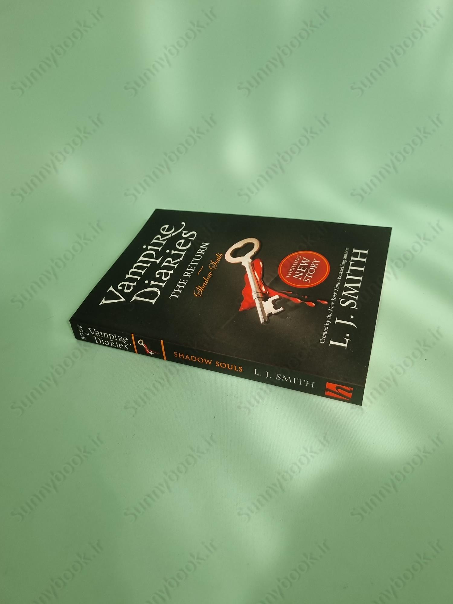 The Vampire Diaries The Return: Shadow Souls Book 6 main 1 3