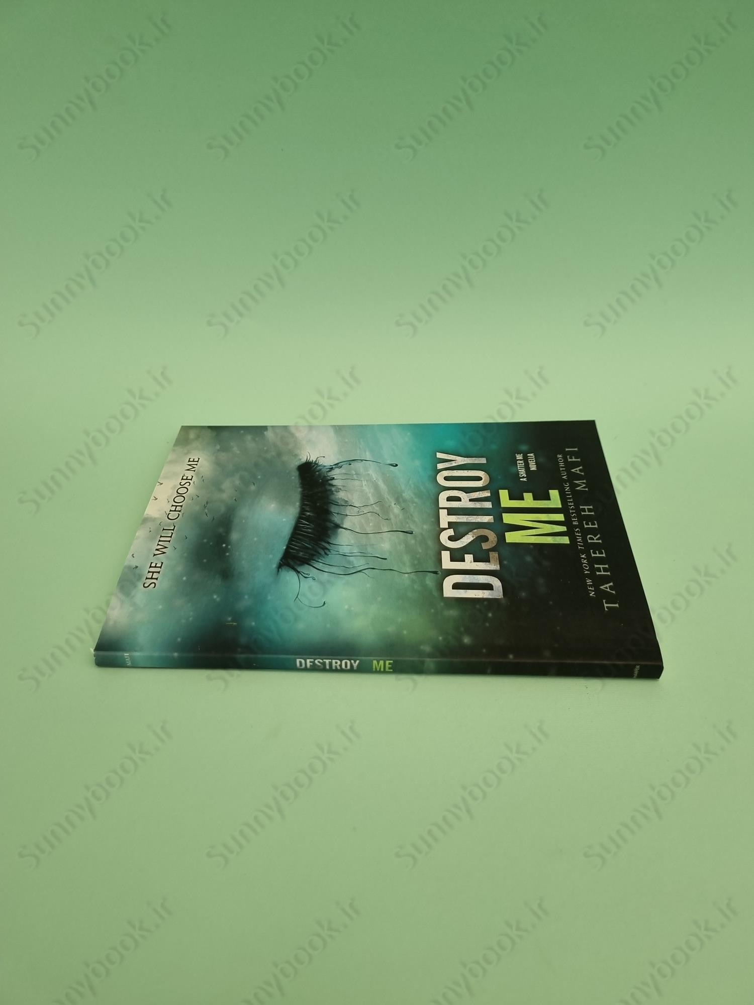 Destroy Me (Shatter Me 1.5) main 1 4