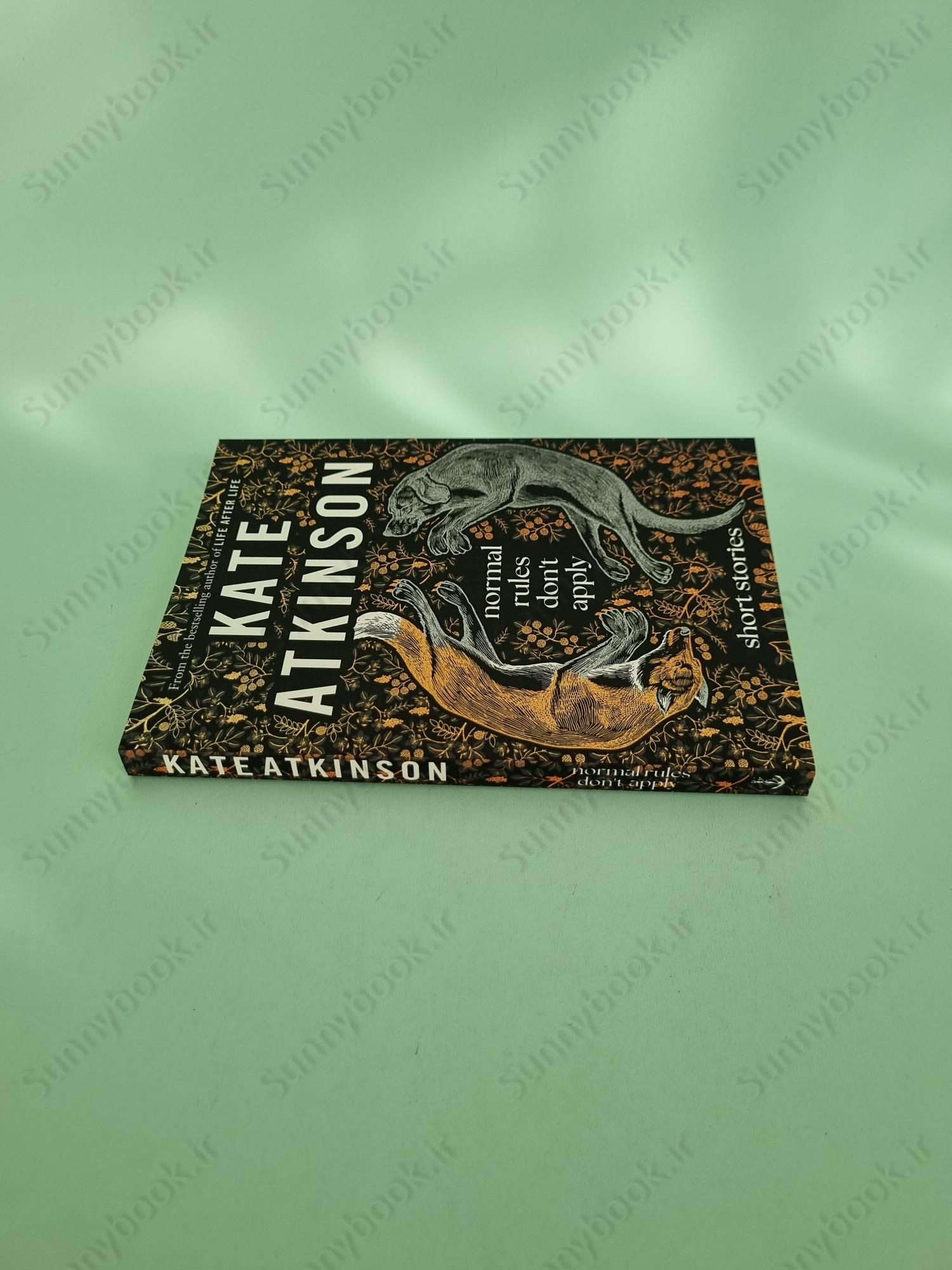 Normal Rules Don't Apply main 1 4