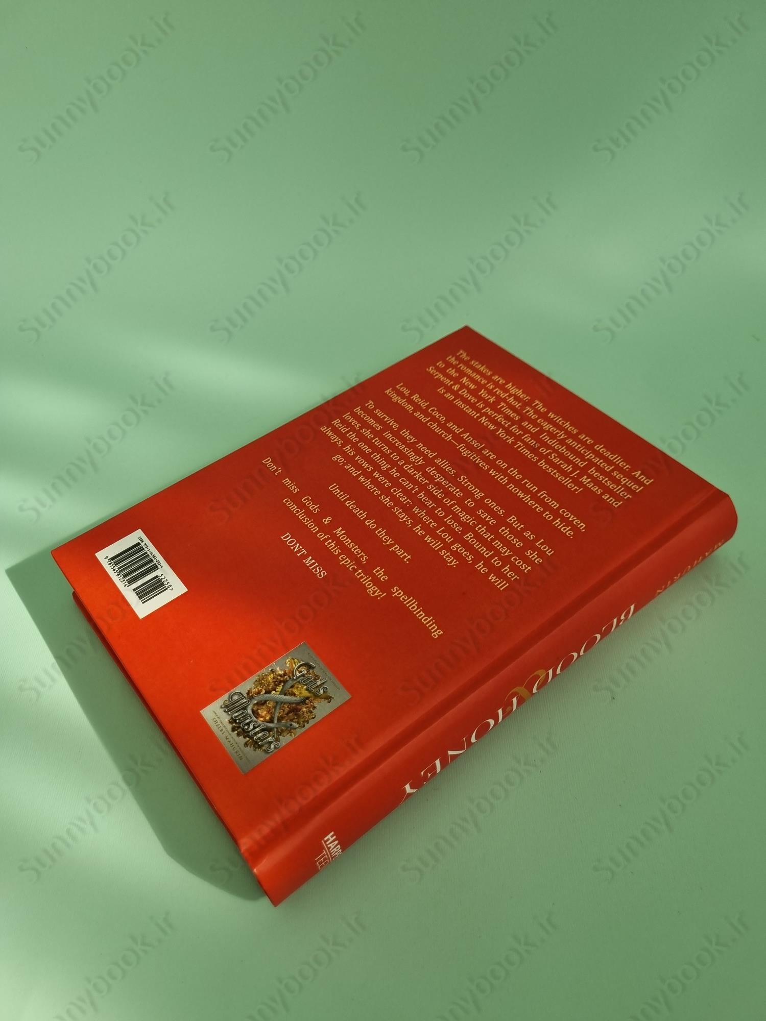 Blood & Honey (Serpent and Dove 2) main 1 4