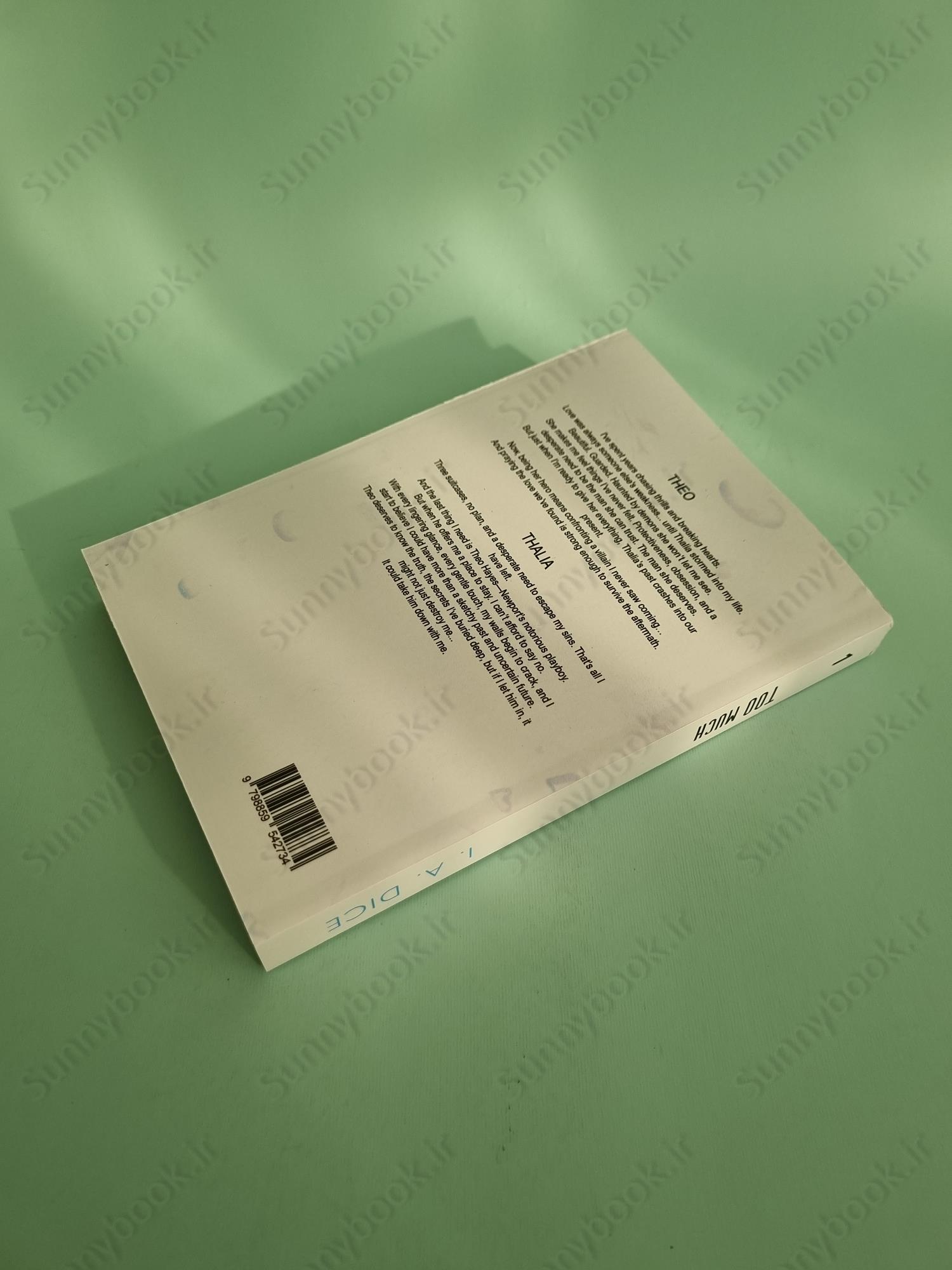 Too Much (Hayes Brothers Book 1) main 1 5