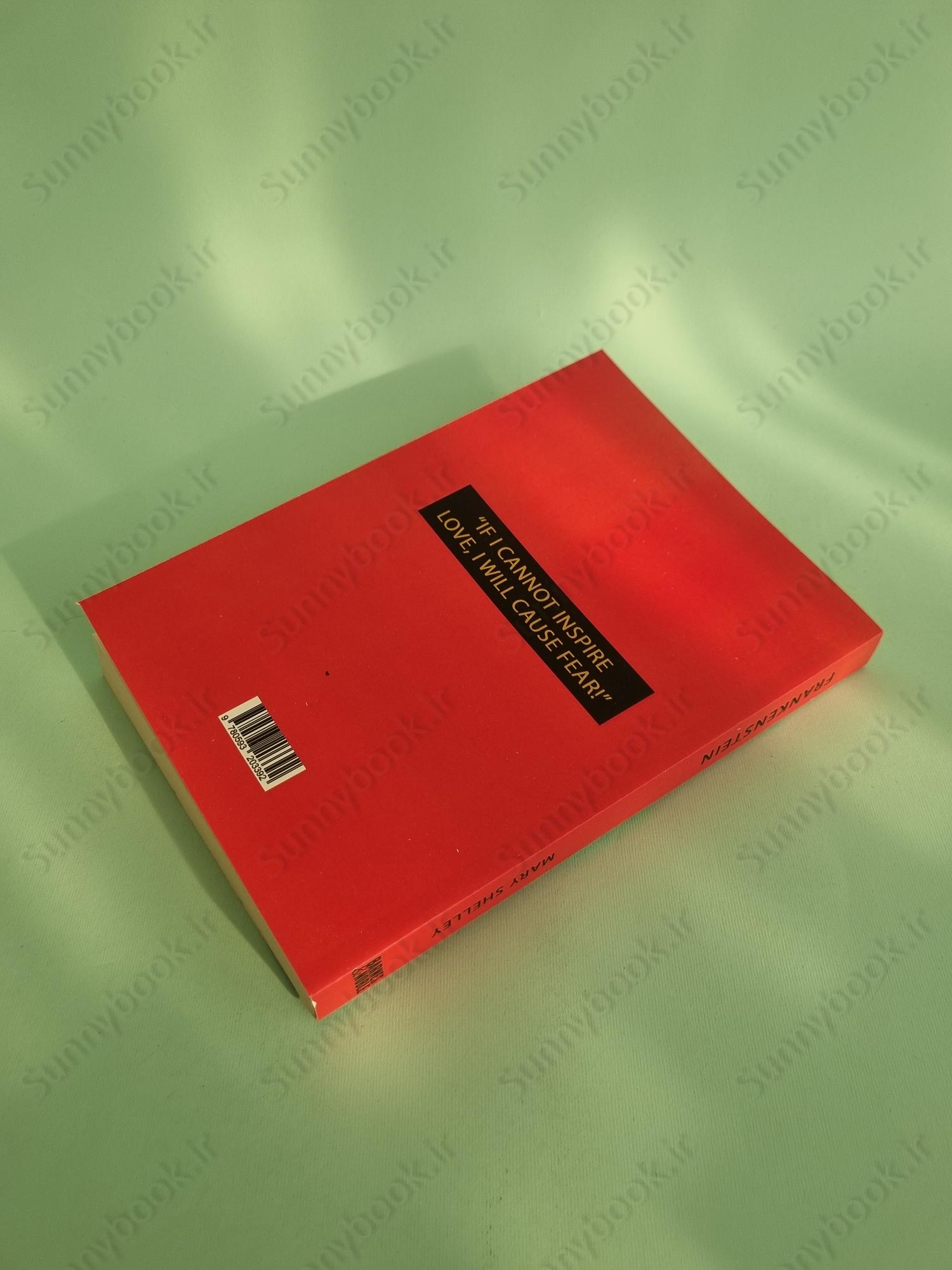 Frankenstein main 1 5