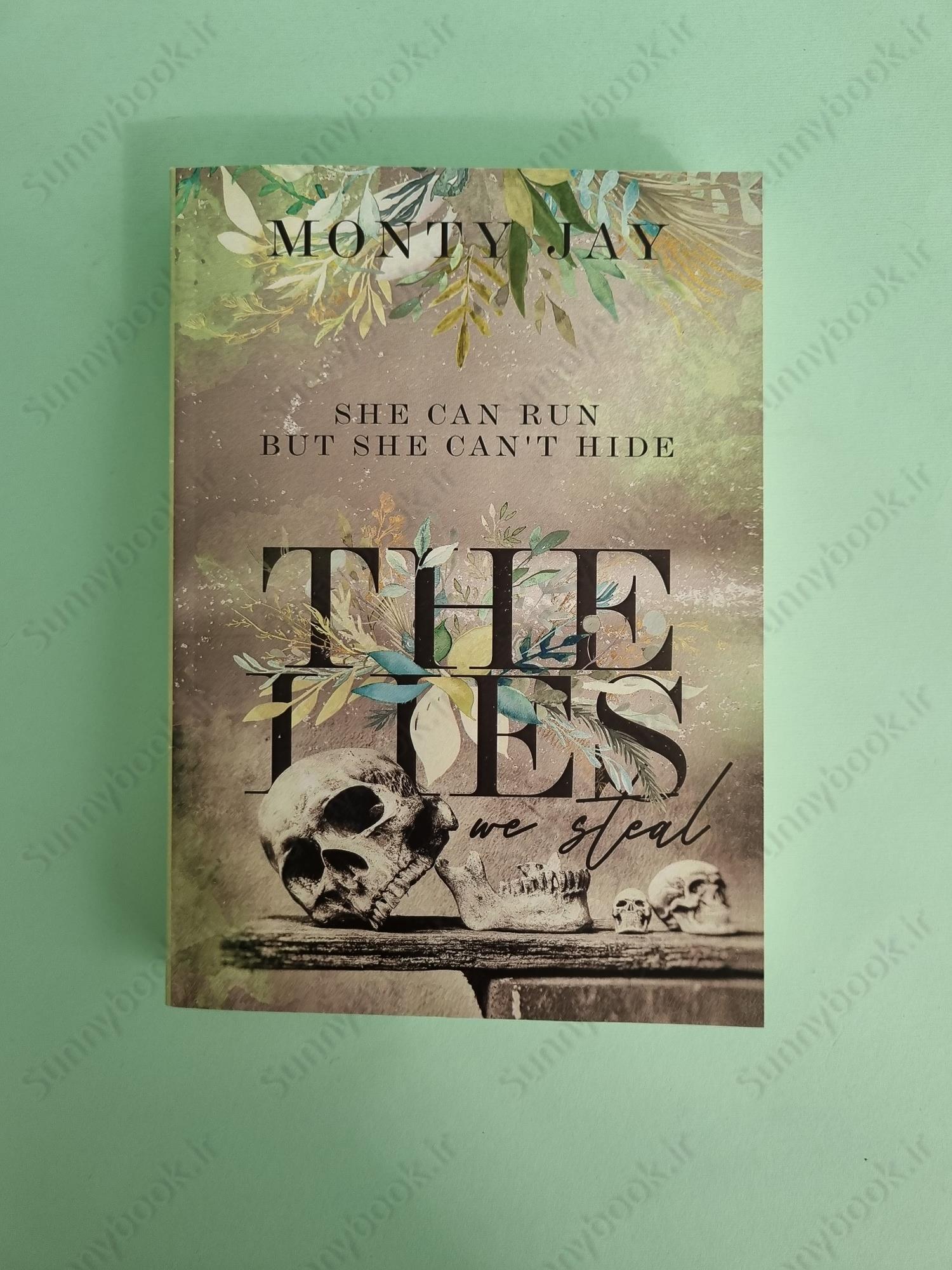 The Lies we Steal (The Hollow Boys Book 1) main 1 2