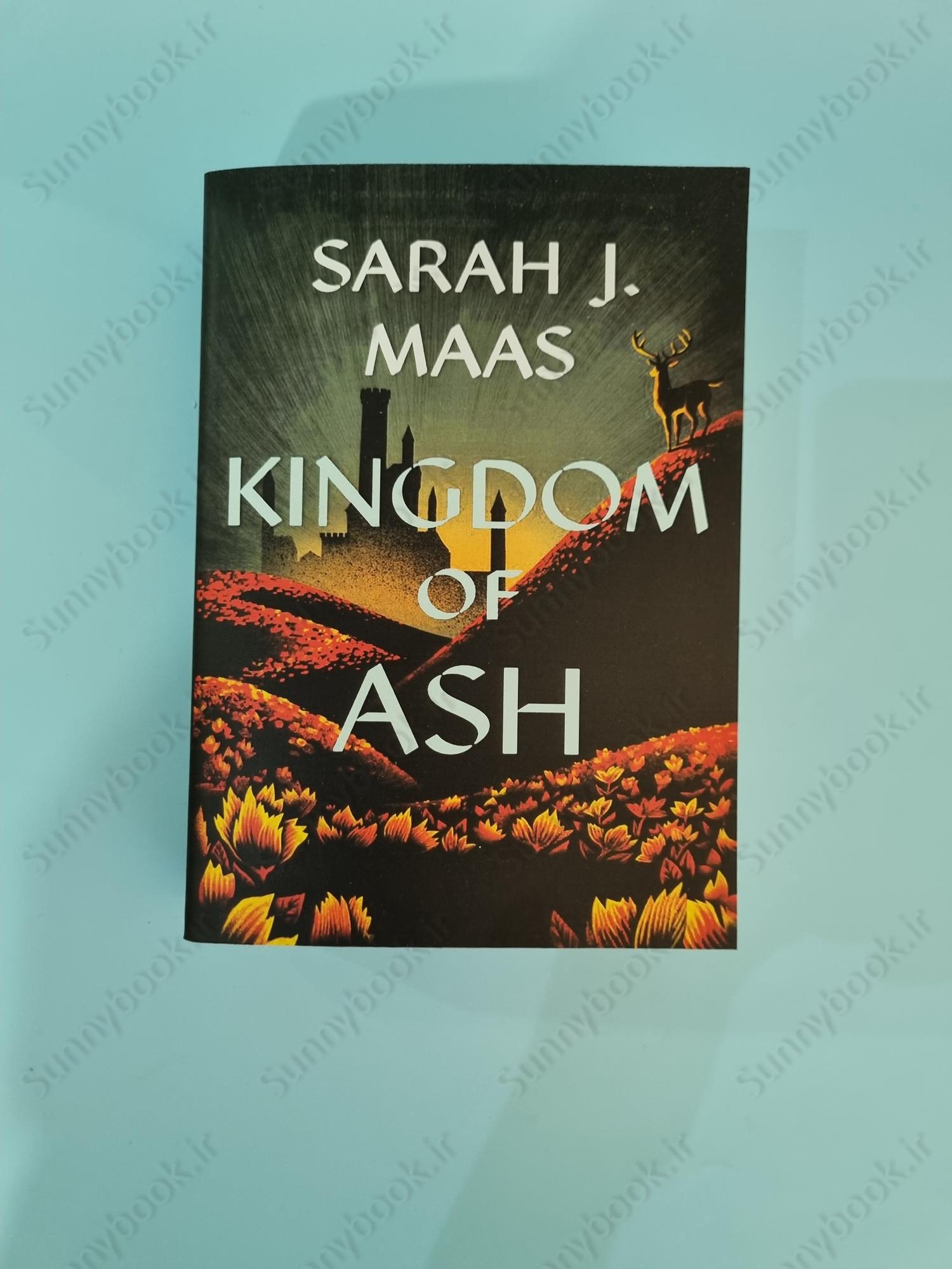 Kingdom of Ash (Throne of Glass, 7) main 1 3