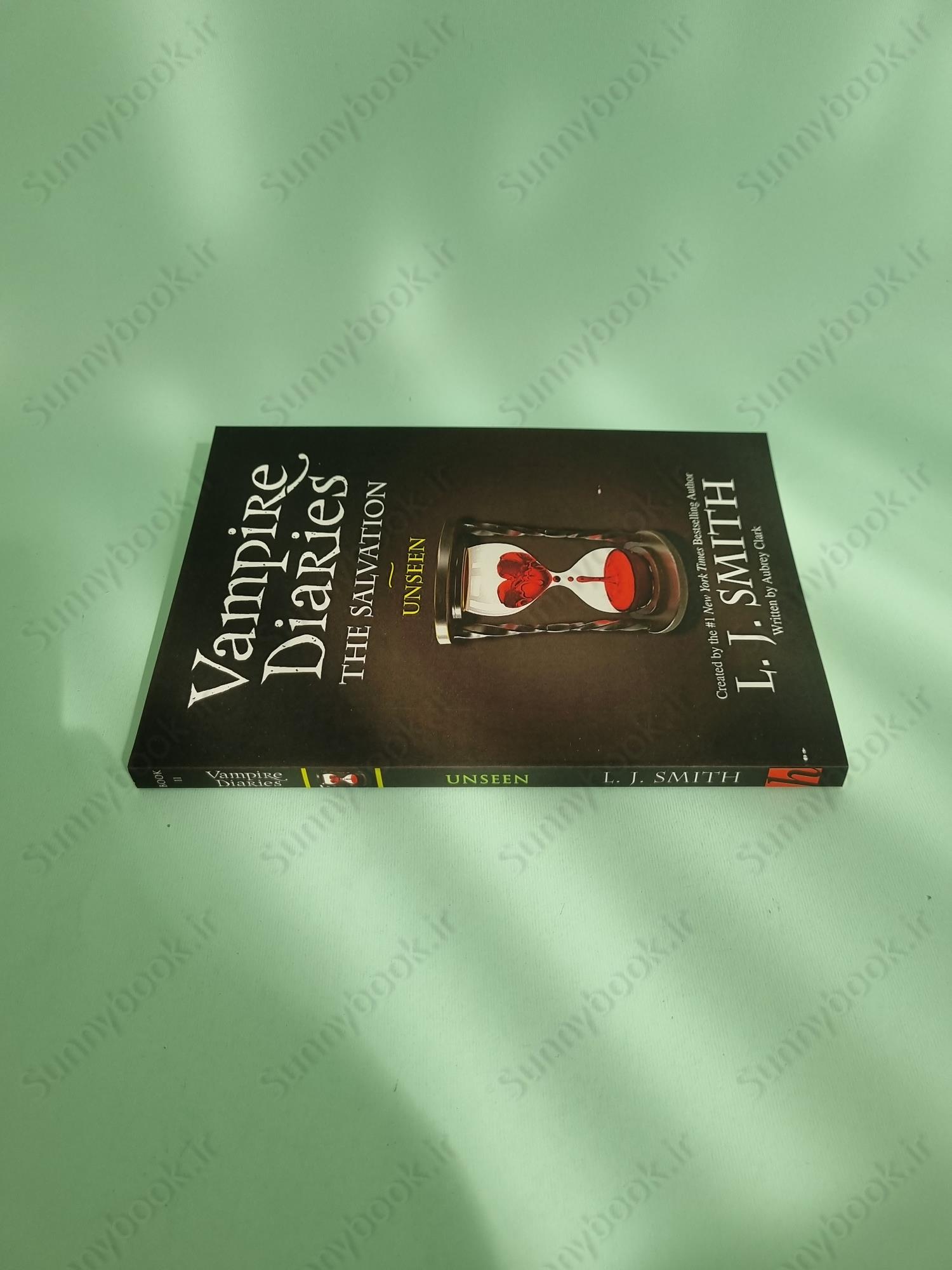 The Vampire Diaries: The Salvation: Unseen: Book 11 main 1 4