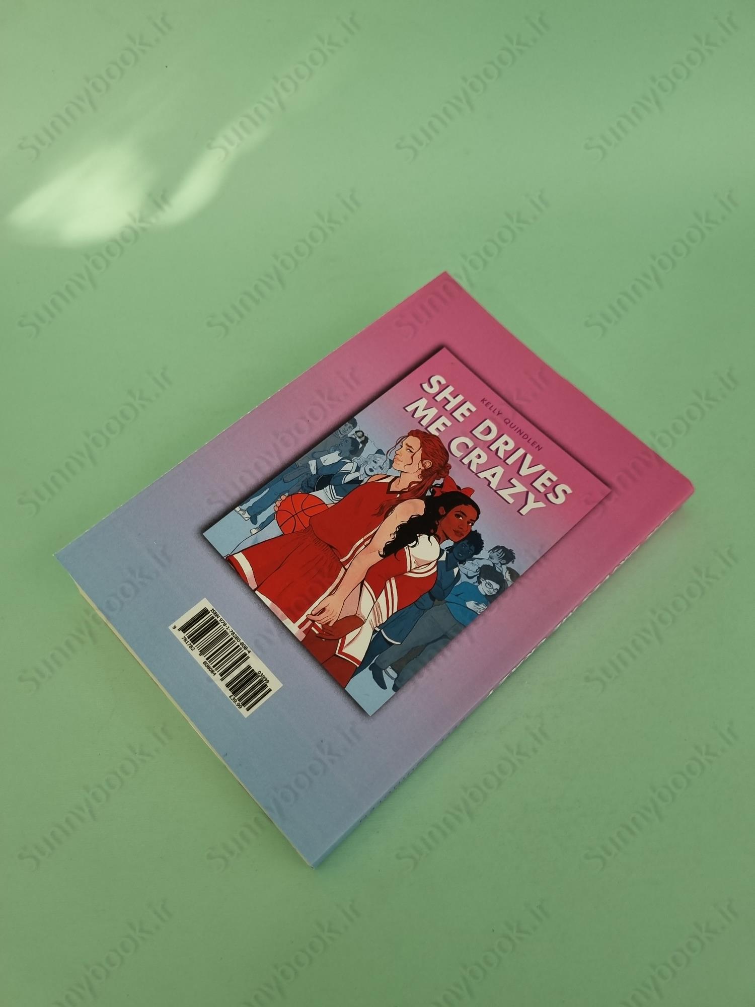 She Drives Me Crazy main 1 4