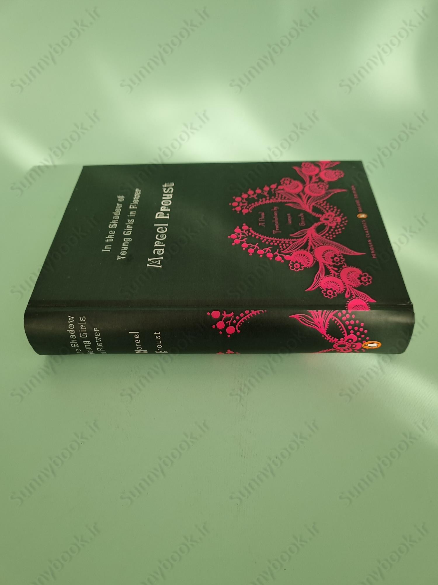 In the Shadow of Young Girls in Flower (In Search of Lost Time Vol 2) main 1 4