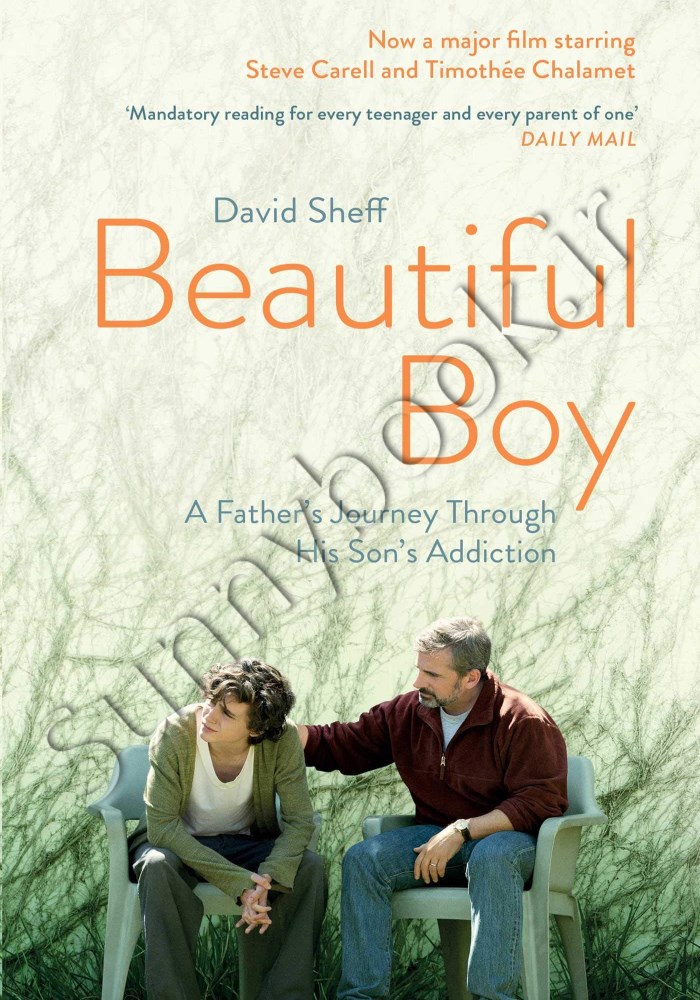 Beautiful Boy: A Father's Journey Through His Son's Addiction Model.Title