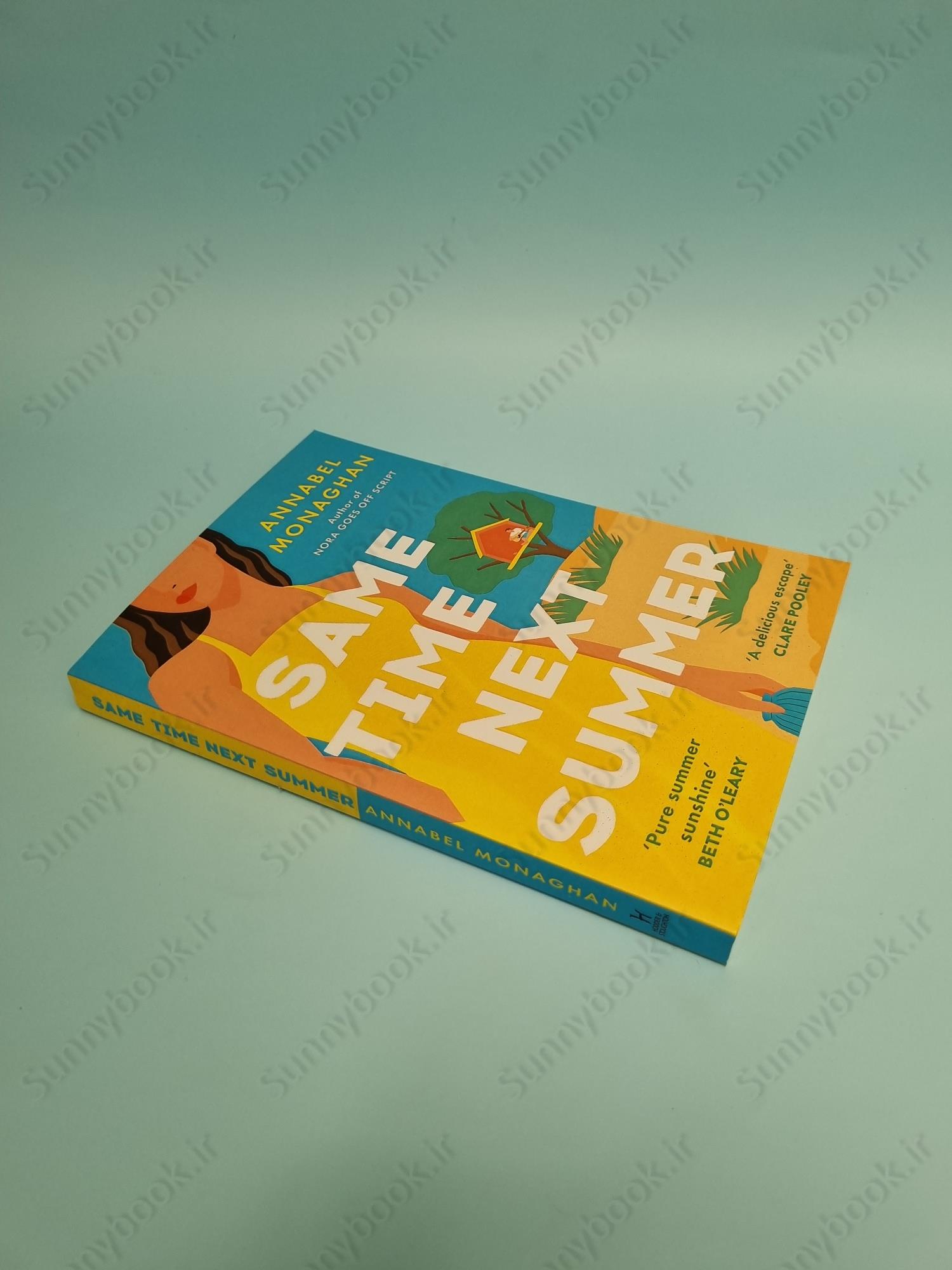 Same Time Next Summer main 1 3