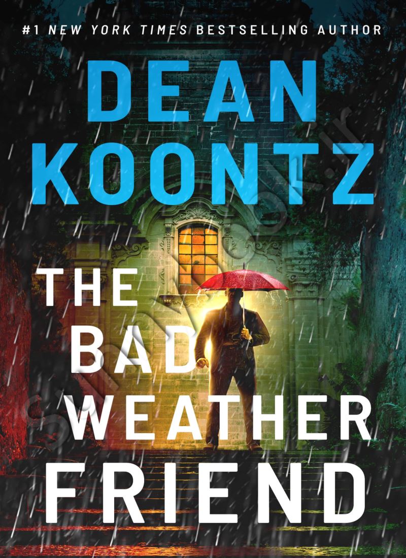 The Bad Weather Friend Model.Title