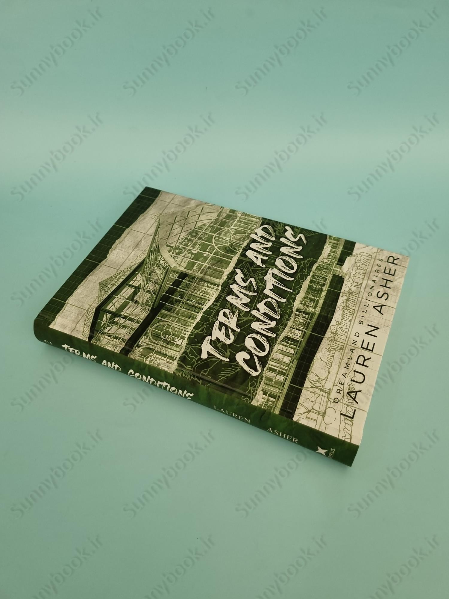 Terms and Conditions (Dreamland Billionaires 2) main 1 3