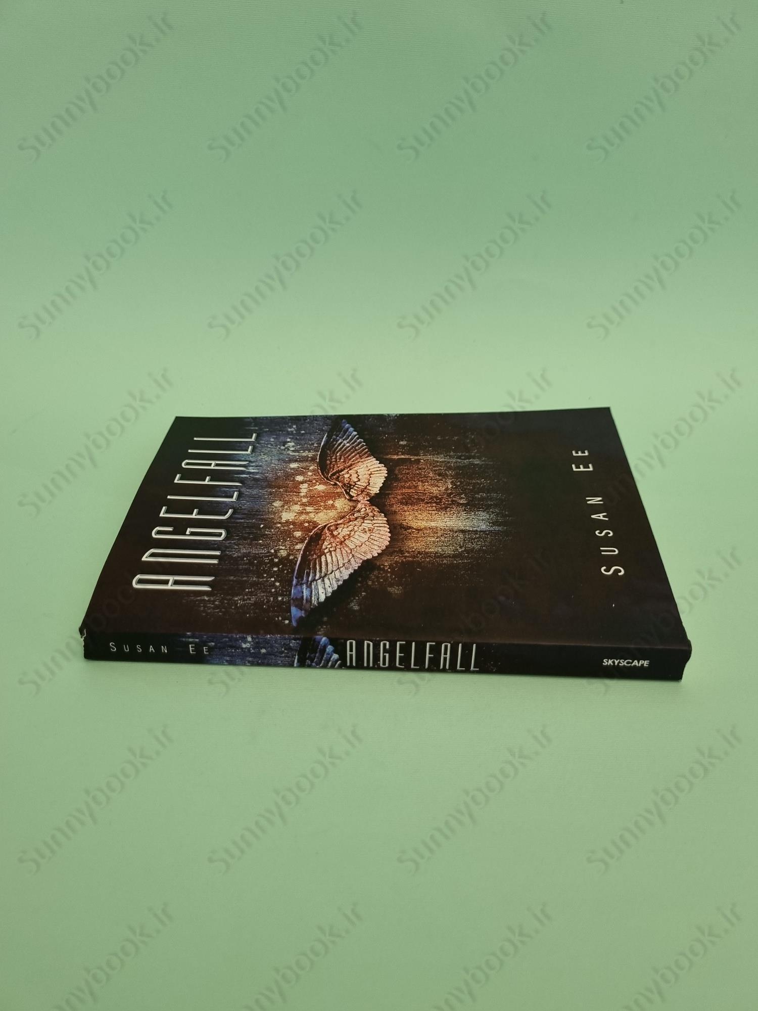 Angelfall (Penryn & the End of Days 1) main 1 4