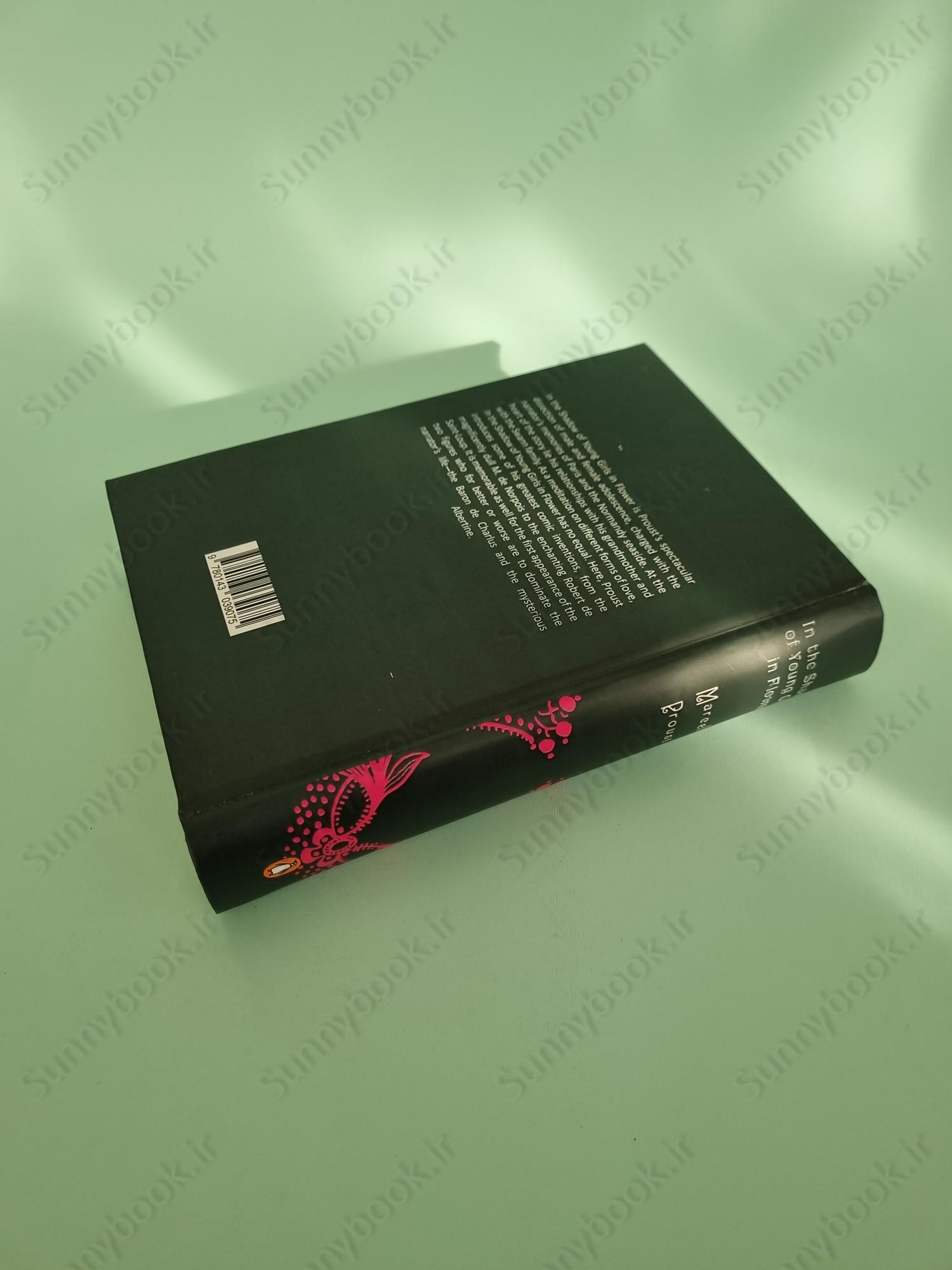 In the Shadow of Young Girls in Flower (In Search of Lost Time Vol 2) main 1 5