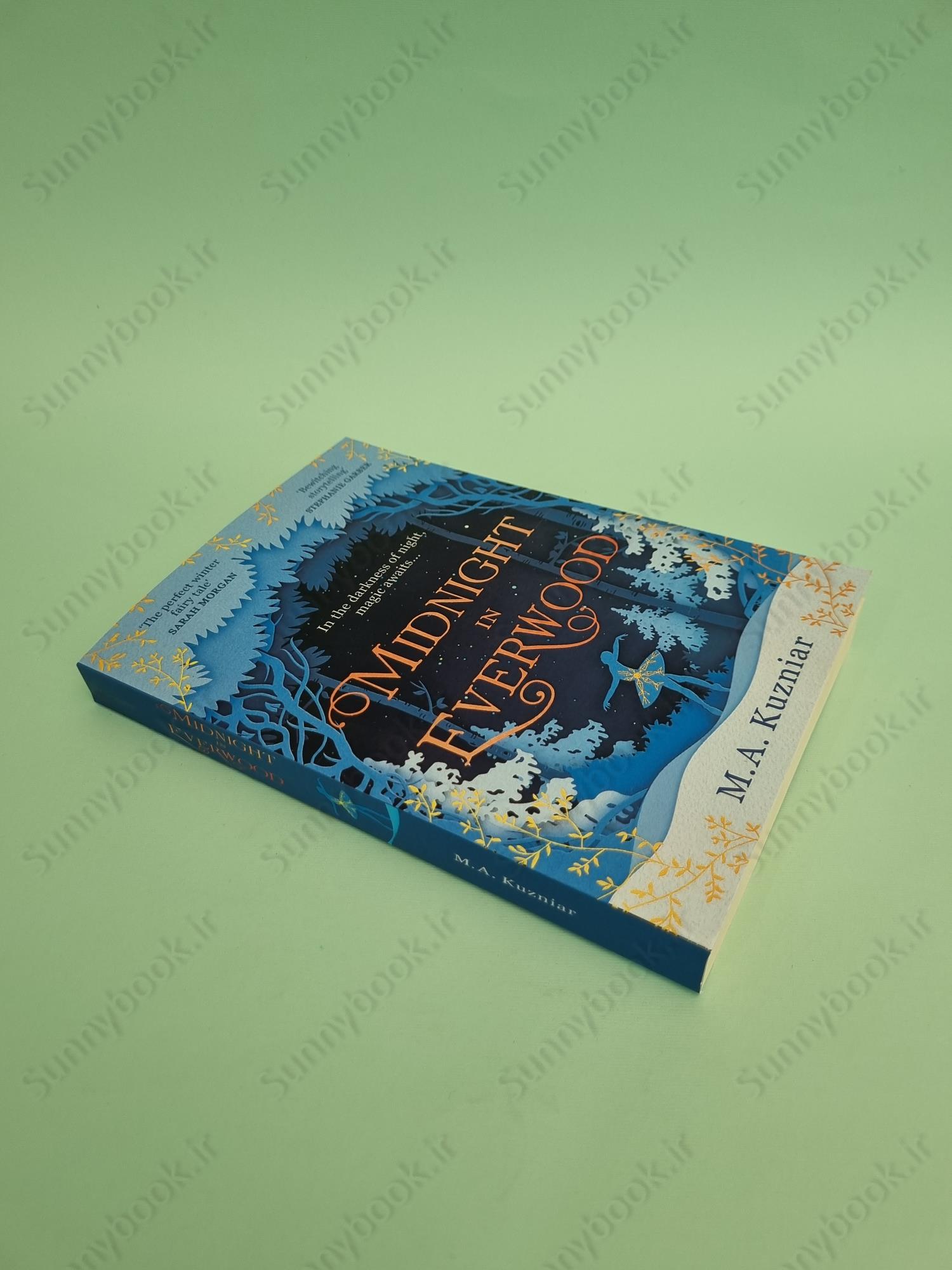 Midnight in Everwood main 1 3