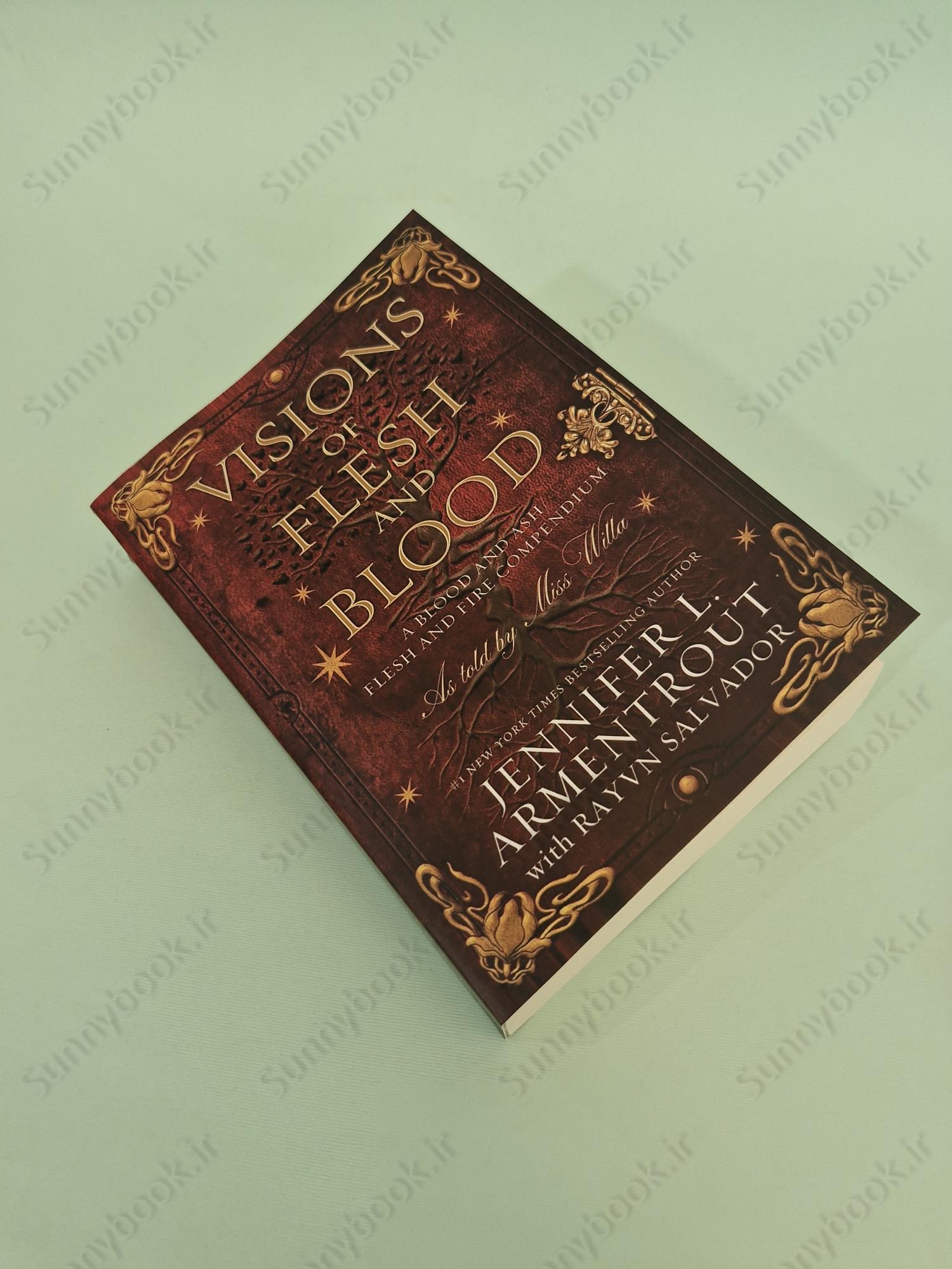 Visions of Flesh and Blood (Blood And Ash Book 5.5) main 1 2