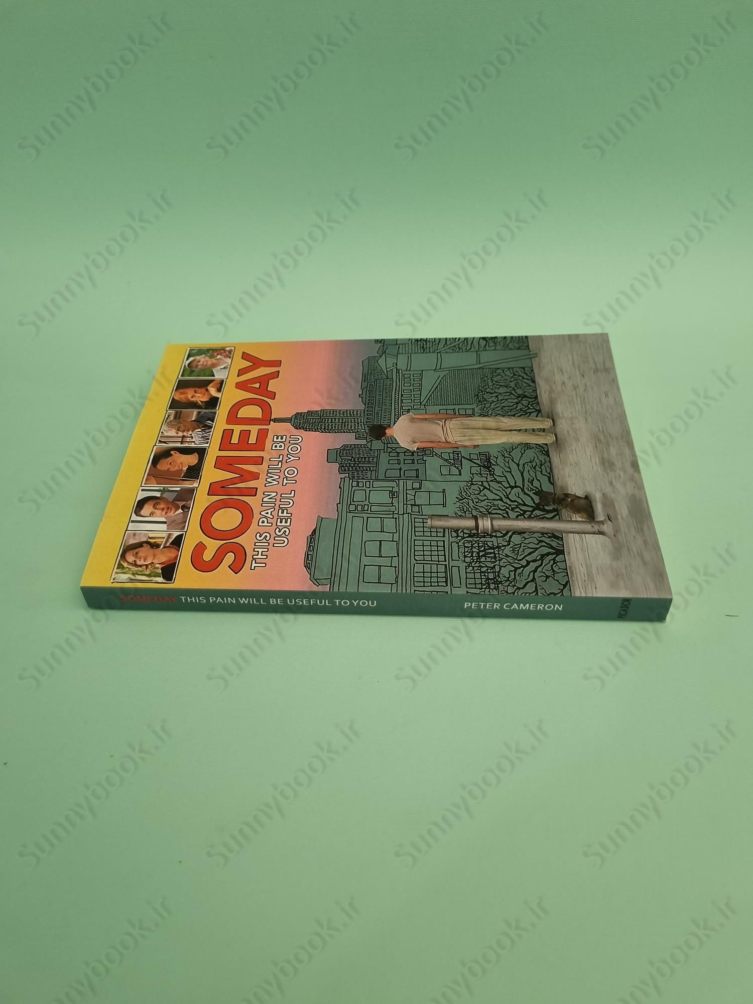 Someday This Pain Will Be Useful to You main 1 4