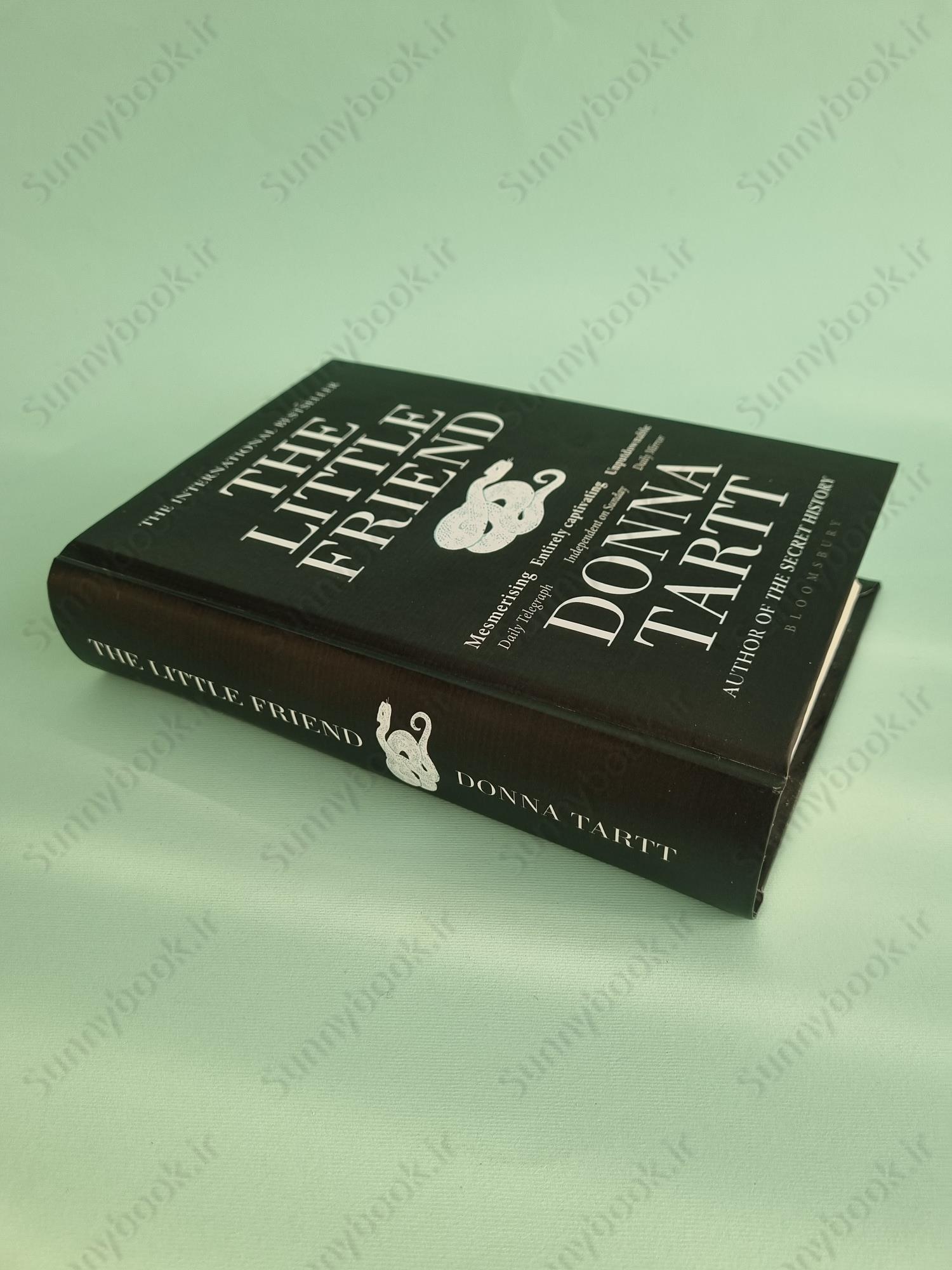 The Little Friend: Donna Tartt main 1 3