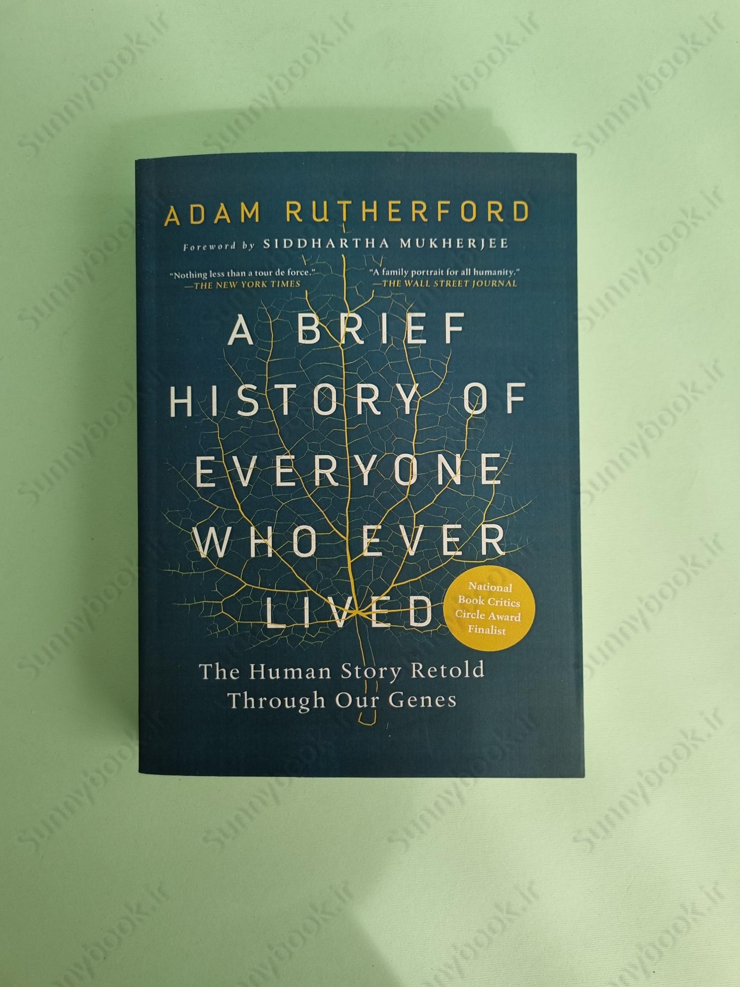 A Brief History of Everyone Who Ever Lived main 1 2