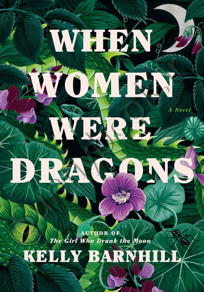 When Women Were Dragons Model.Title