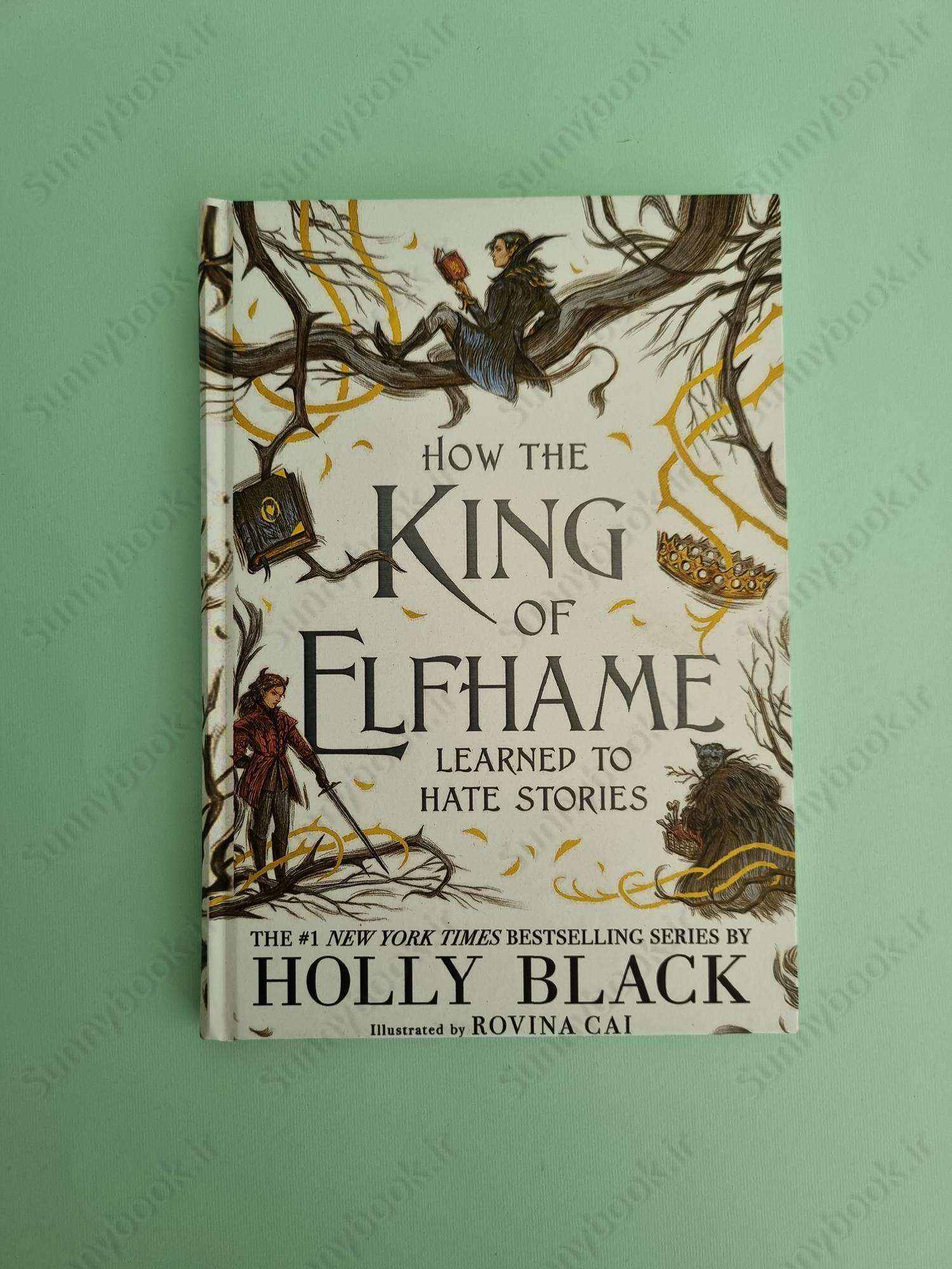 How the King of Elfhame Learned to Hate Stories (The Folk of the Air 3.5) main 1 2