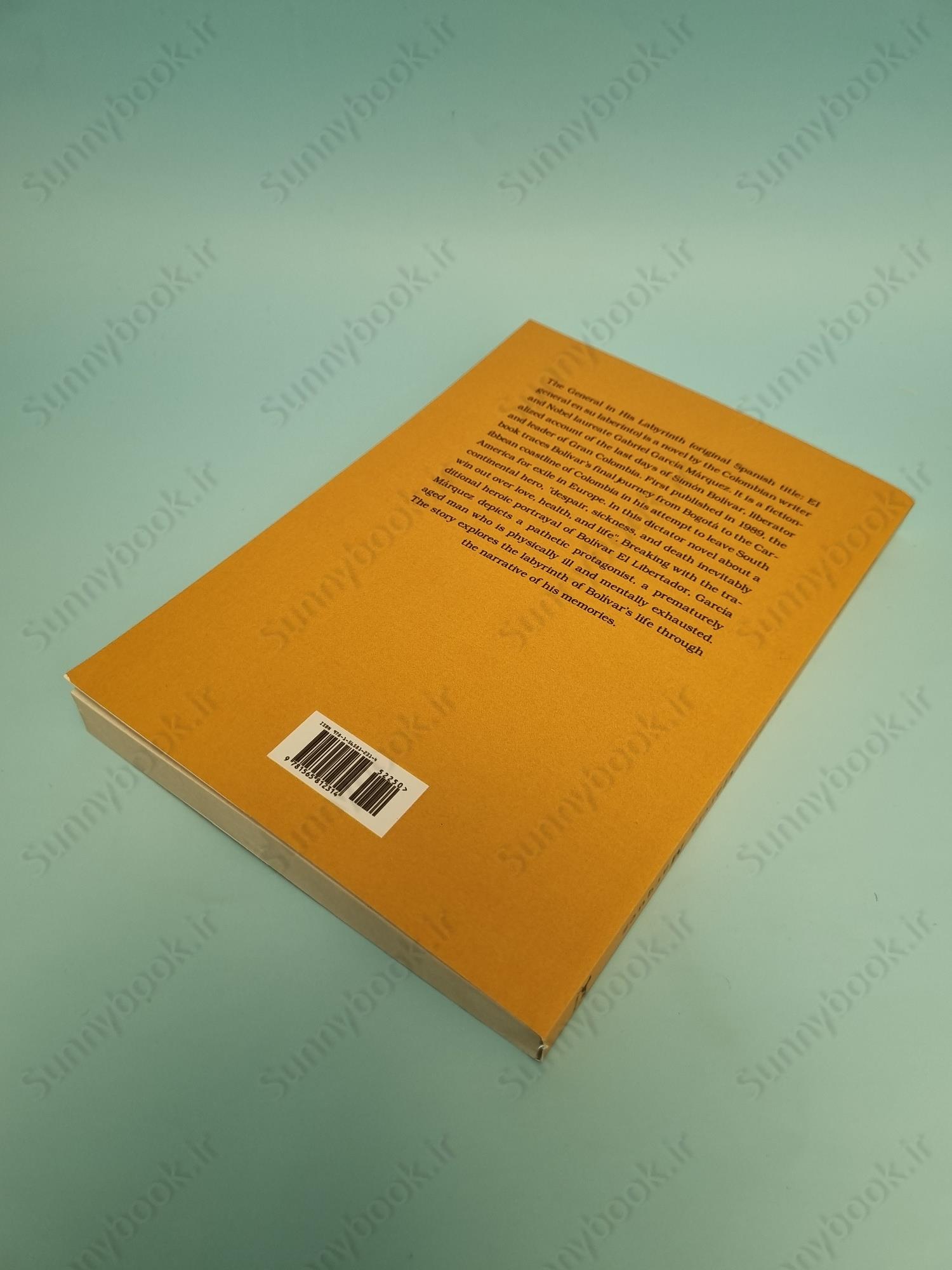 The General in His Labyrinth main 1 4