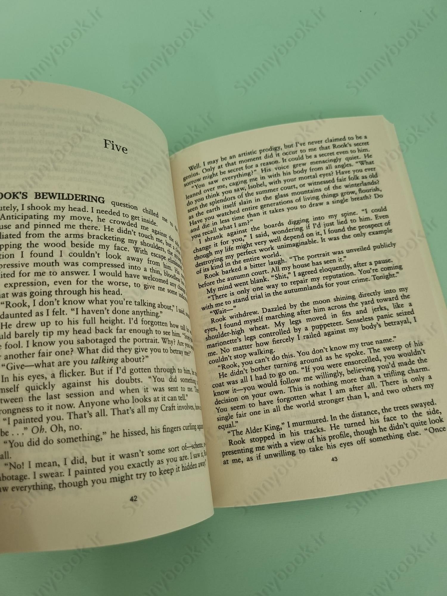 An Enchantment of Ravens main 1 5