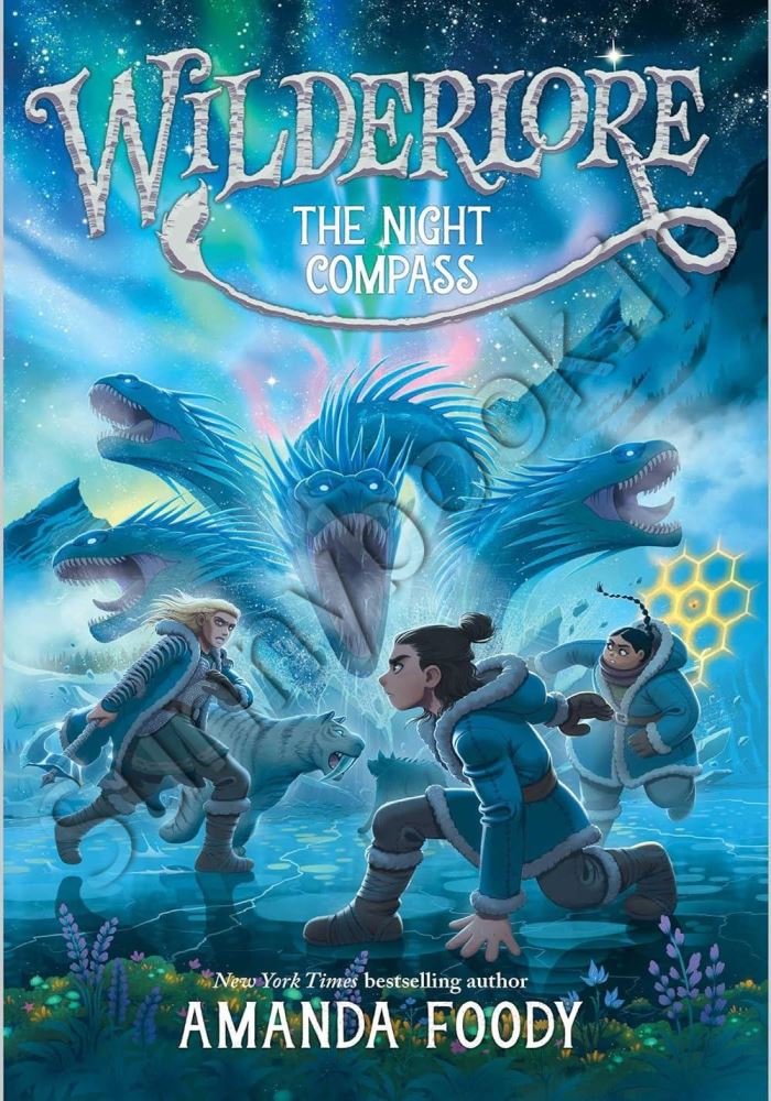 The Night Compass (Wilderlore 4) Model.Title