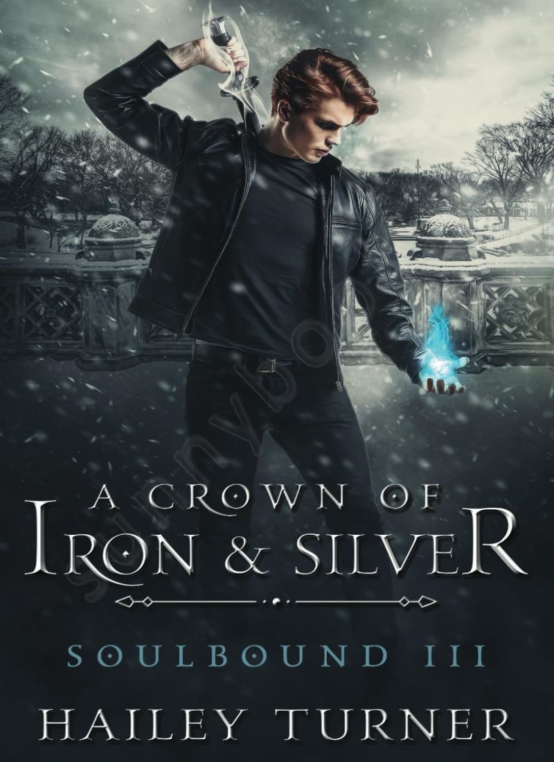 A Crown of Iron & Silver (Soulbound 3) main 1 1
