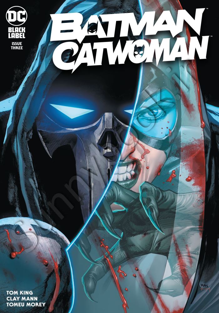 Batman Catwoman (2020) #3 Model.Title