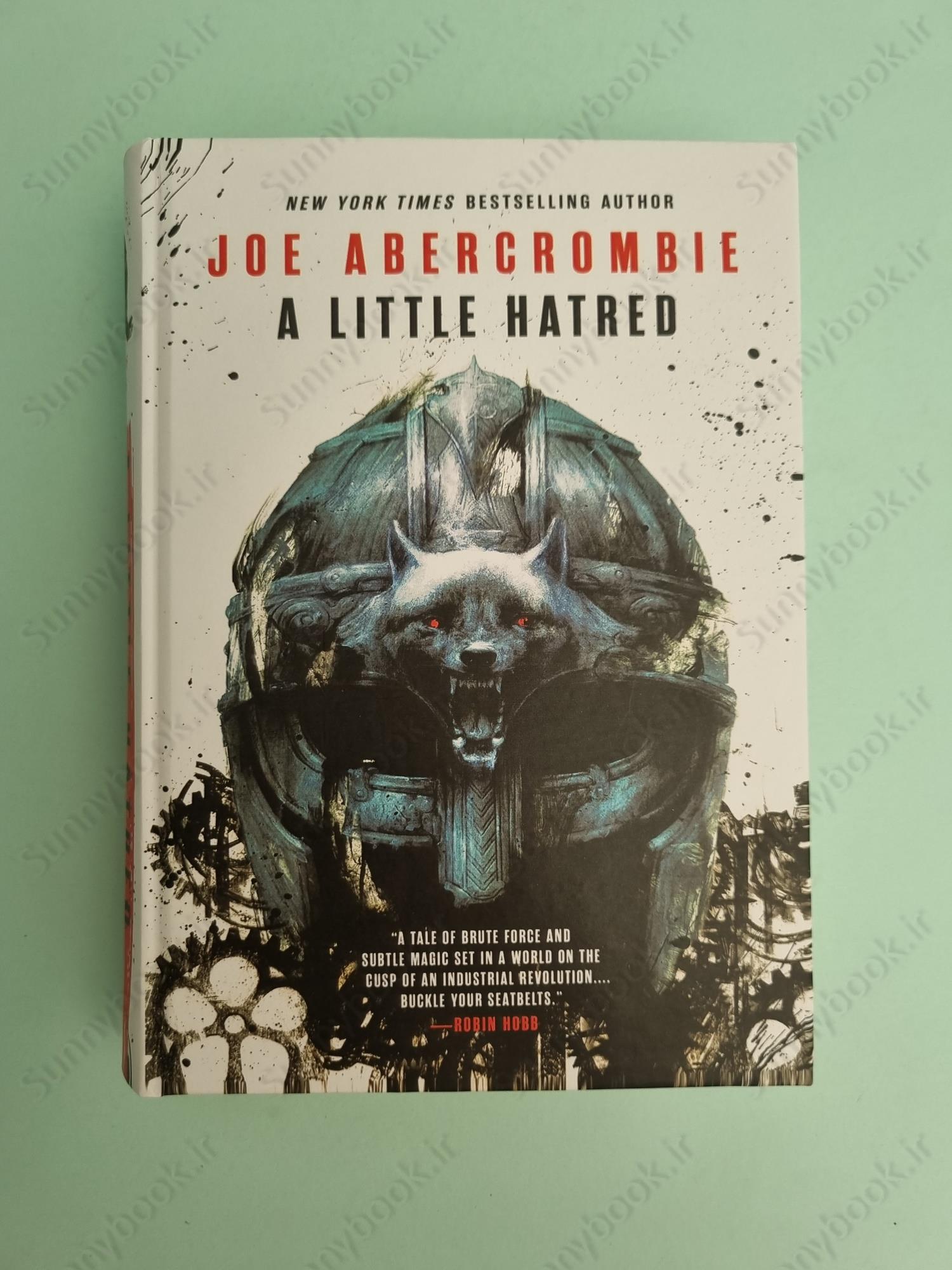 A Little Hatred (The Age of Madness 1) main 1 2