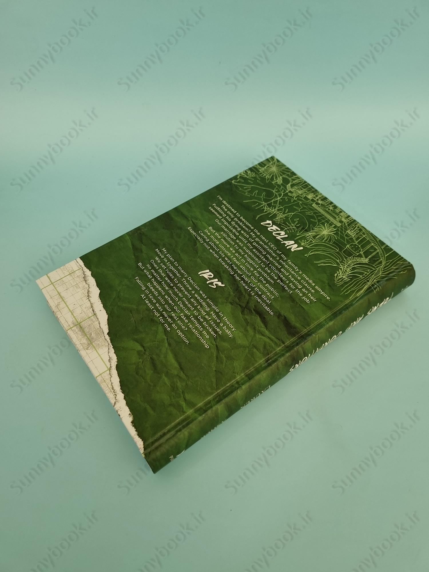 Terms and Conditions (Dreamland Billionaires 2) main 1 5