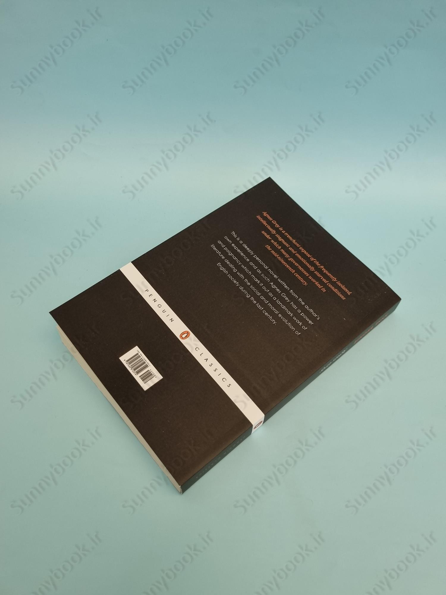 Agnes Grey (Penguin Classics) main 1 4