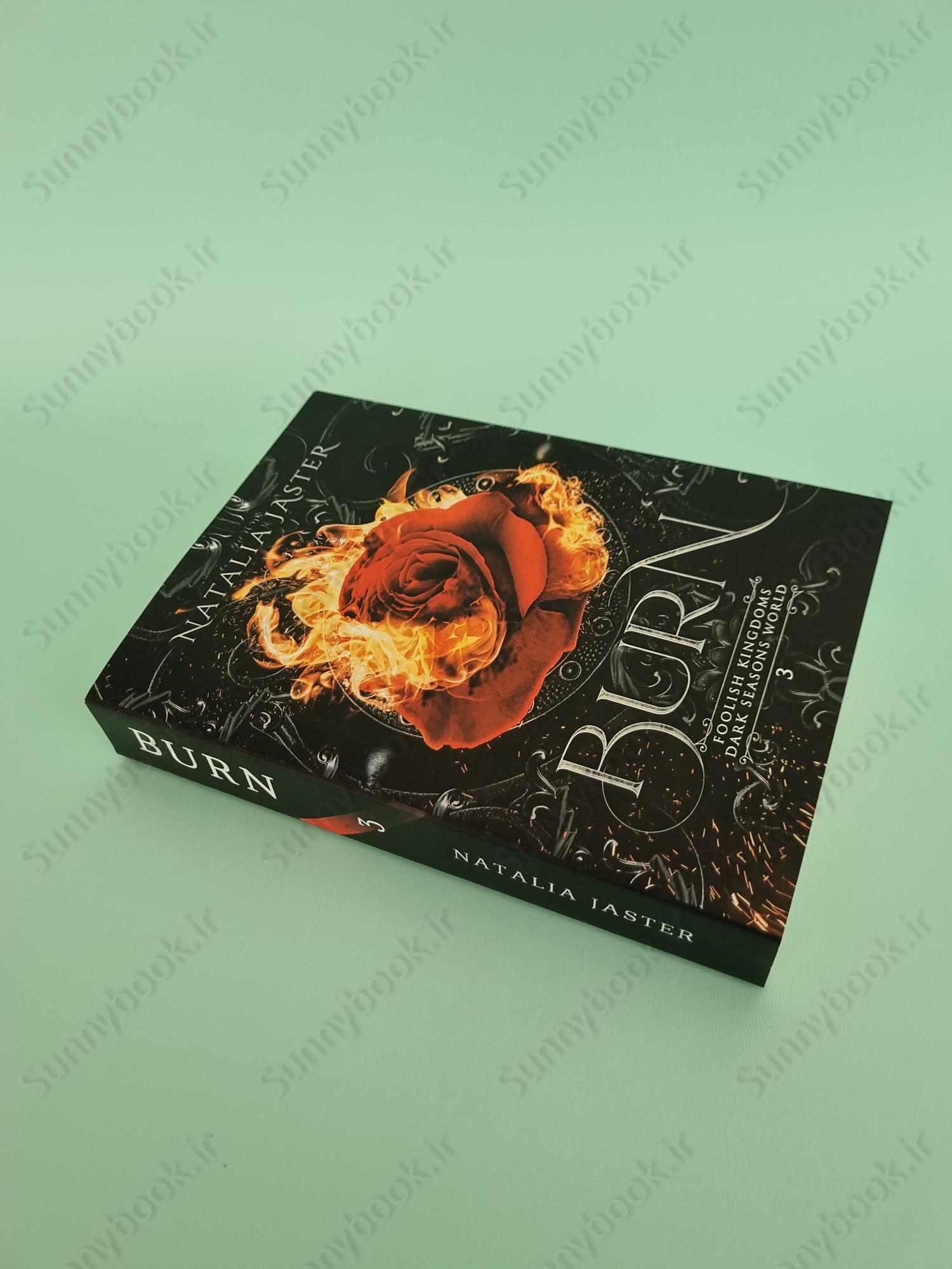 Burn (Foolish Kingdoms 3) main 1 3
