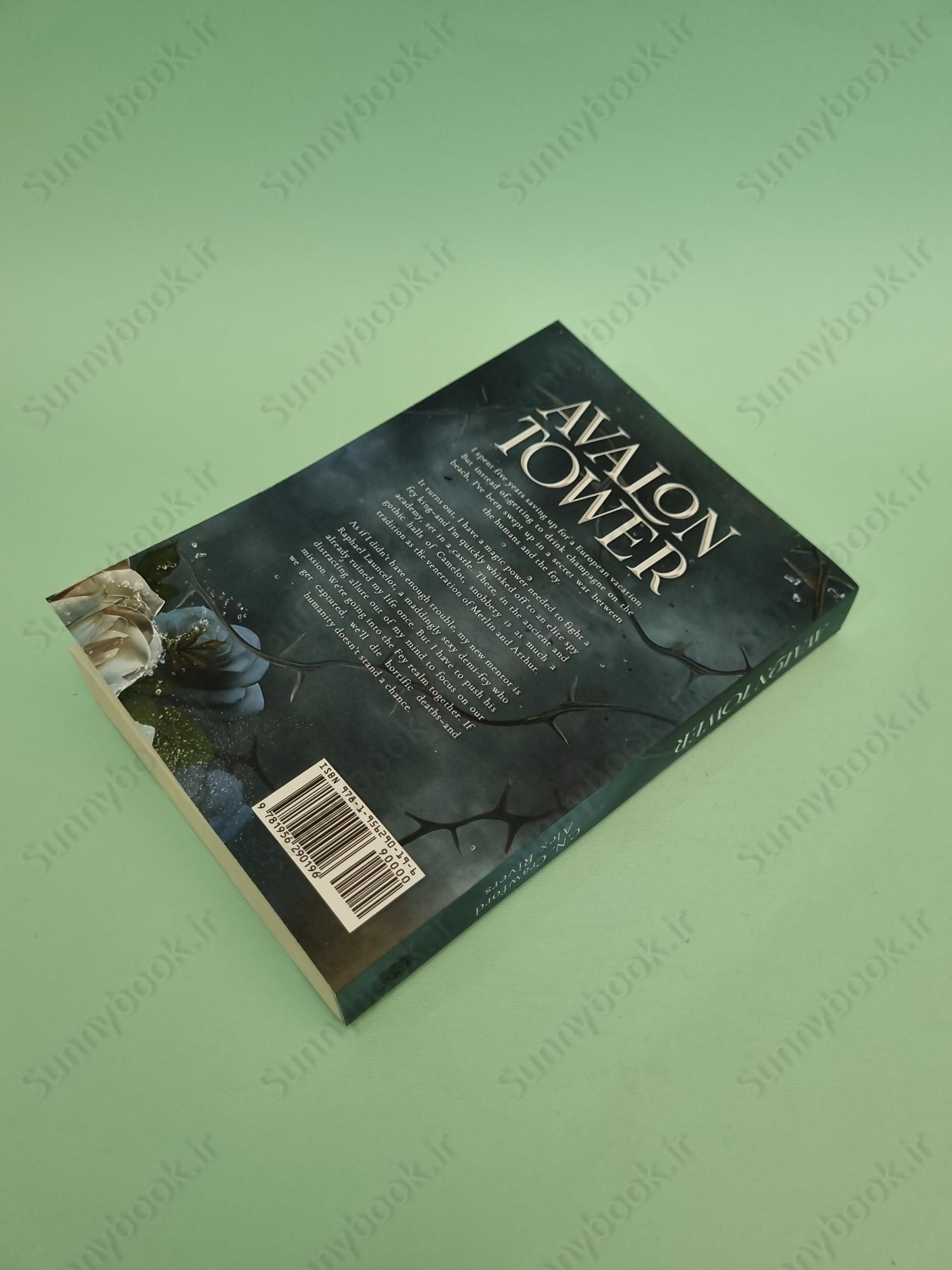 Avalon Tower (Fey Spy Academy Book 1) main 1 5