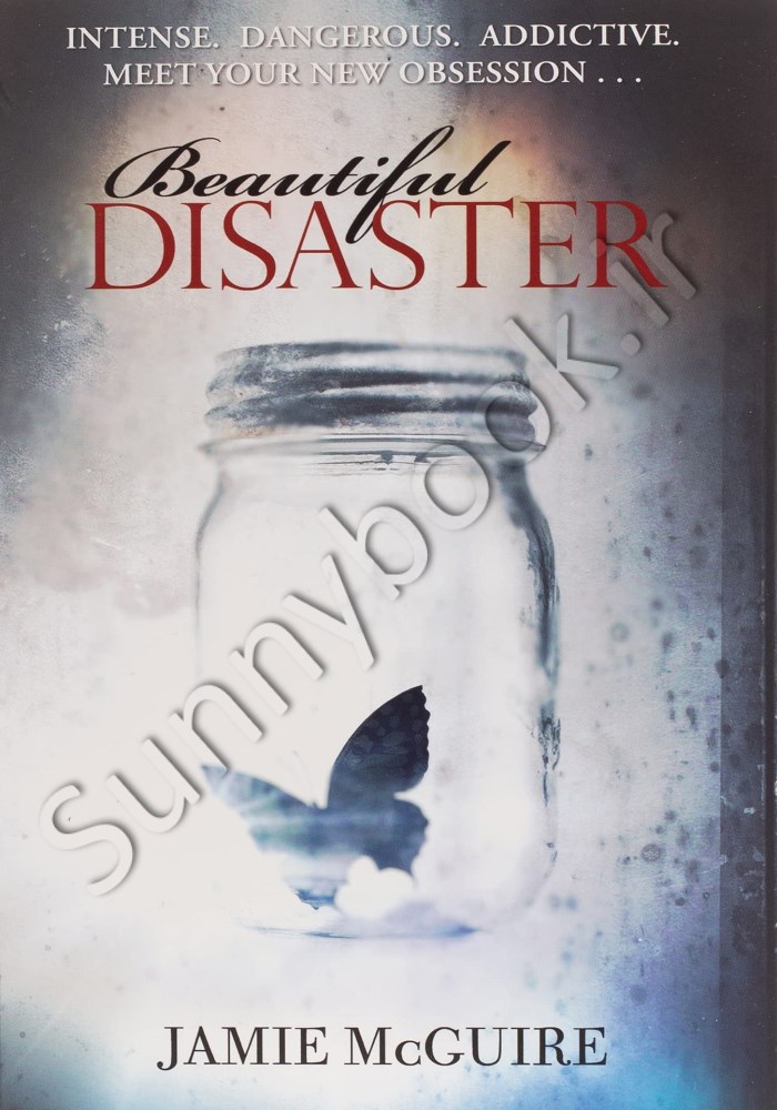 Beautiful Disaster (Beautiful 1) Model.Title