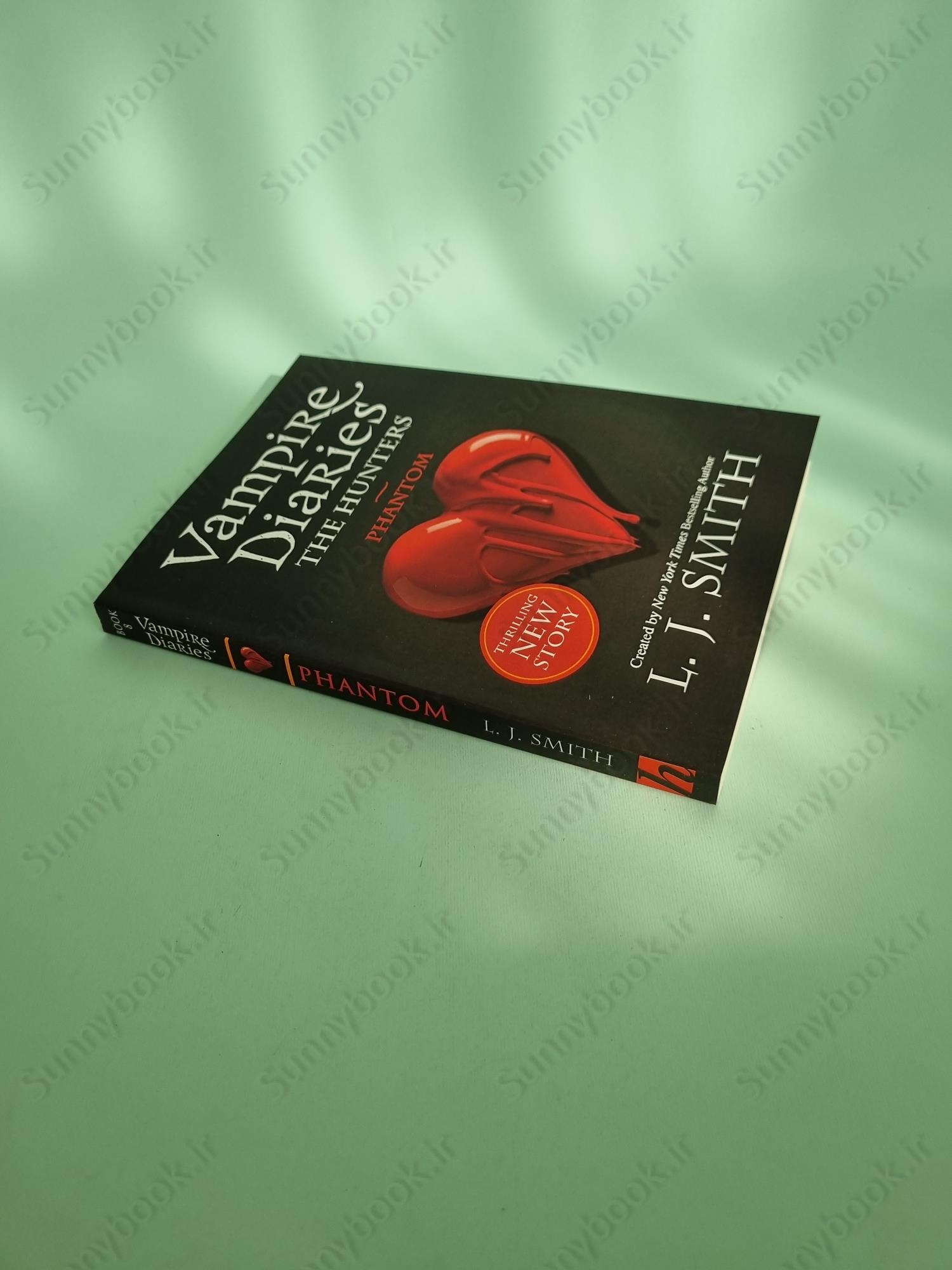 The Vampire Diaries: The Hunters: Phantom: Book 8 main 1 3