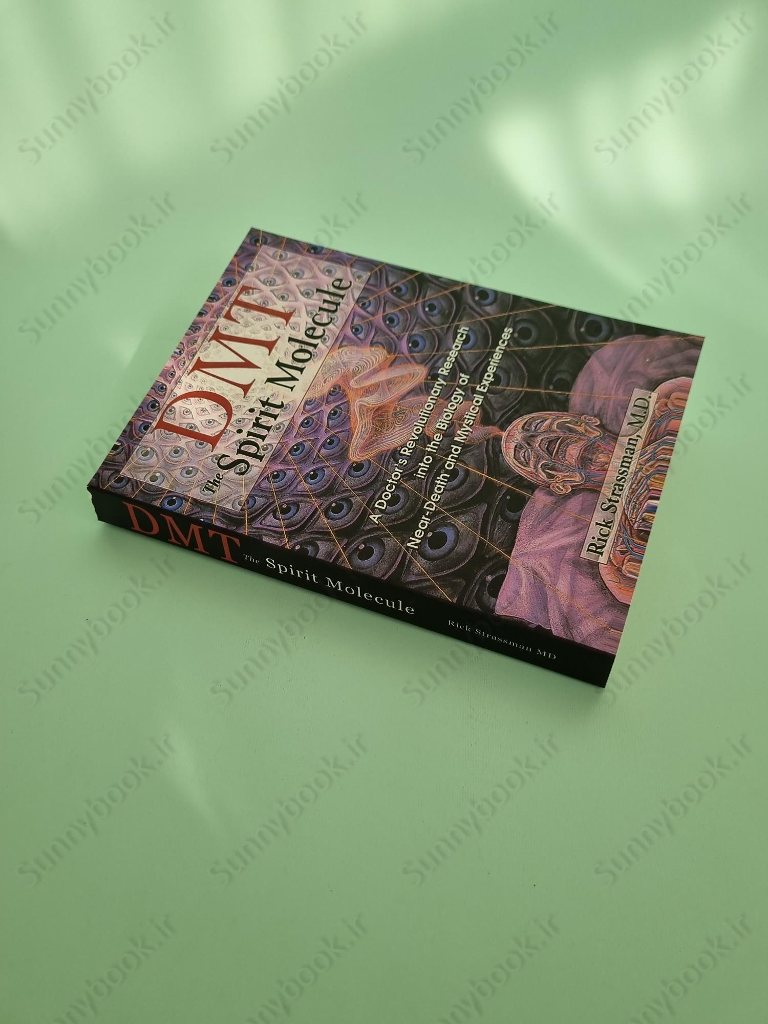 DMT: The Spirit Molecule main 1 3