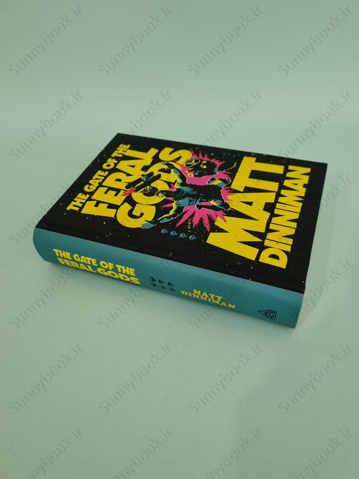 The Gate of the Feral Gods (Dungeon Crawler Carl 4) main 1 3