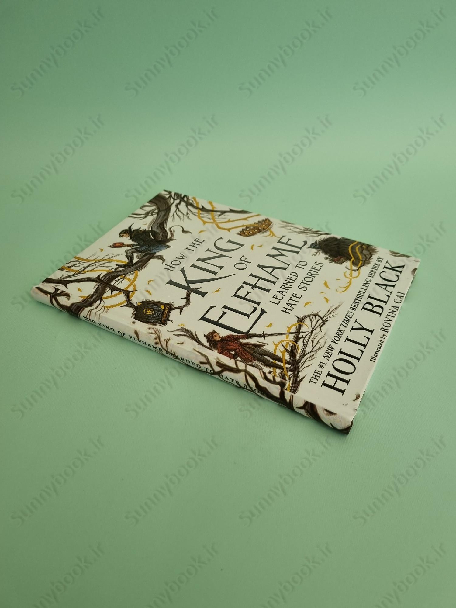 How the King of Elfhame Learned to Hate Stories (The Folk of the Air 3.5) main 1 3