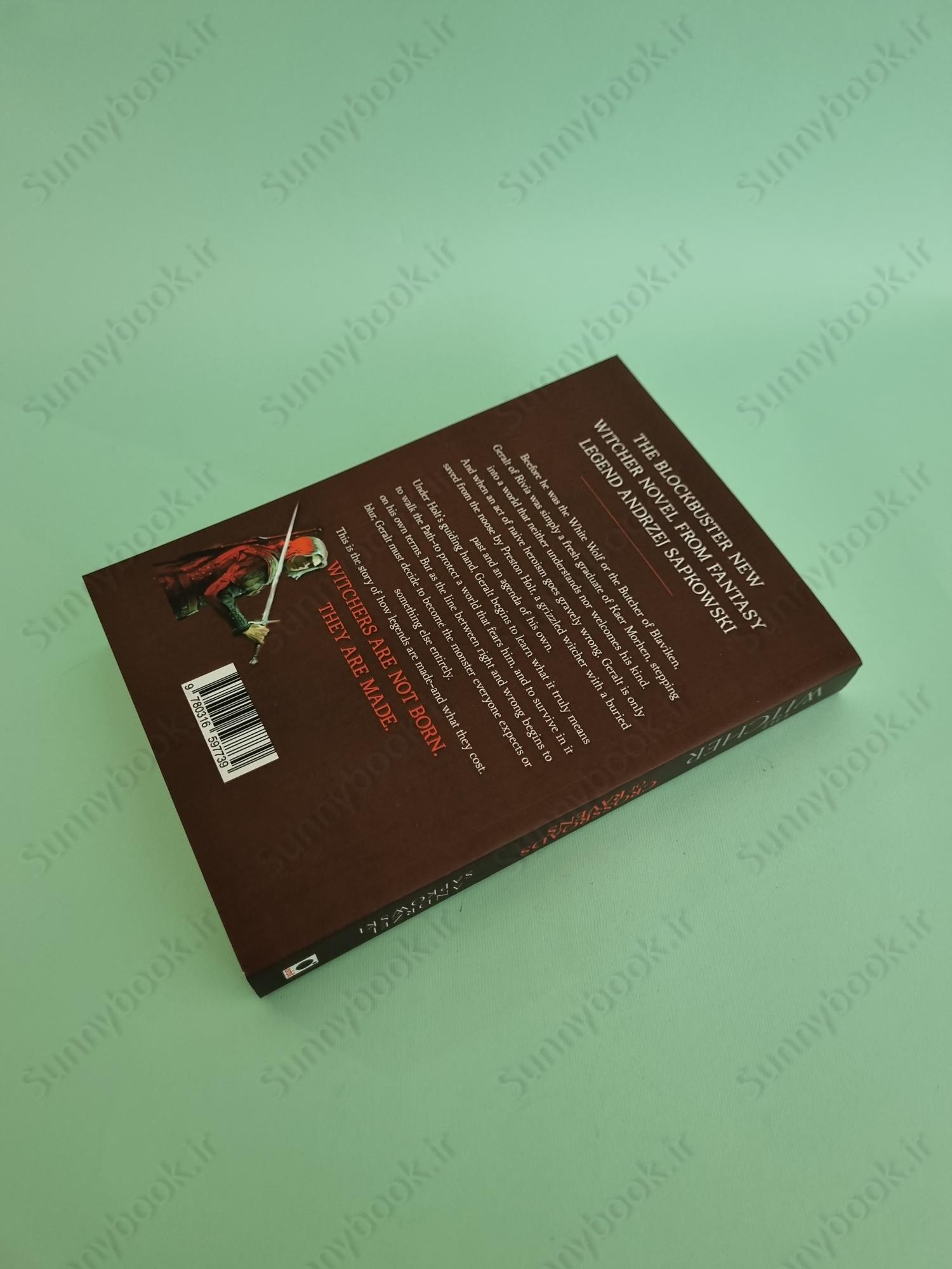 Crossroads of Ravens (The Witcher, 9) main 1 5