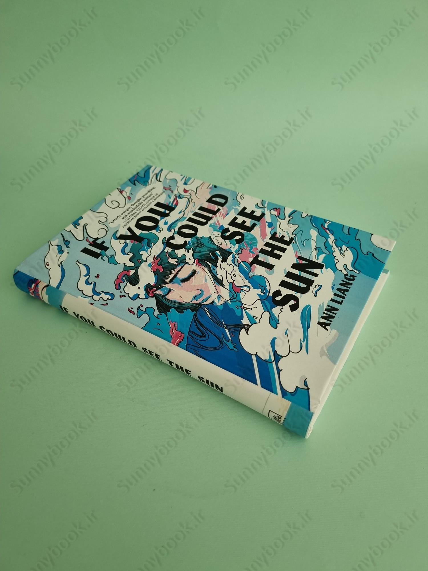 If You Could See the Sun main 1 3