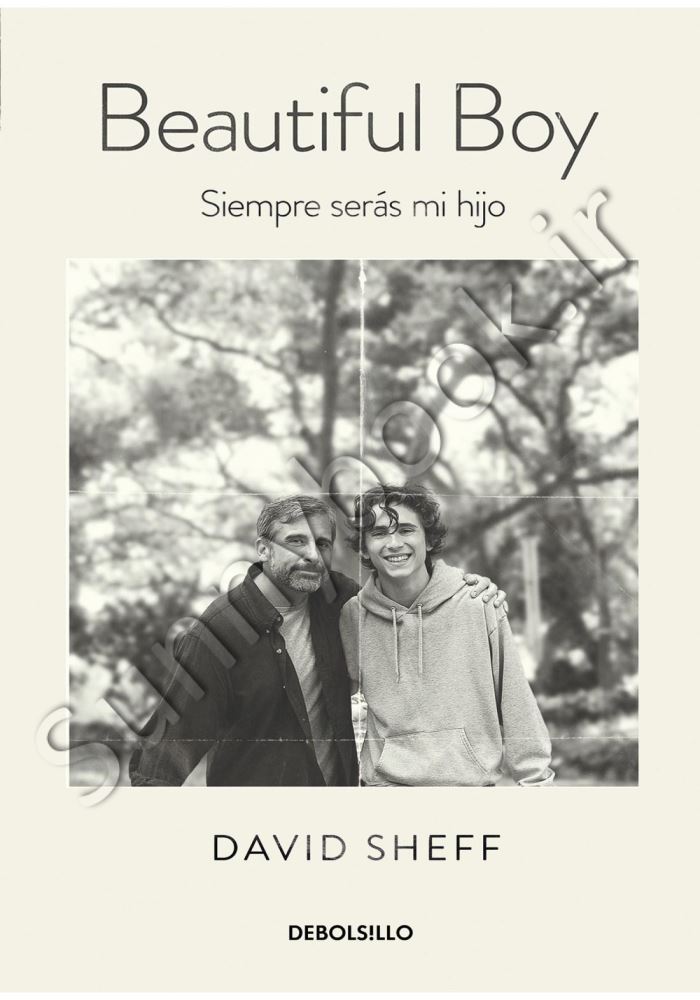 Beautiful Boy: A Father's Journey Through His Son's Addiction Model.Title