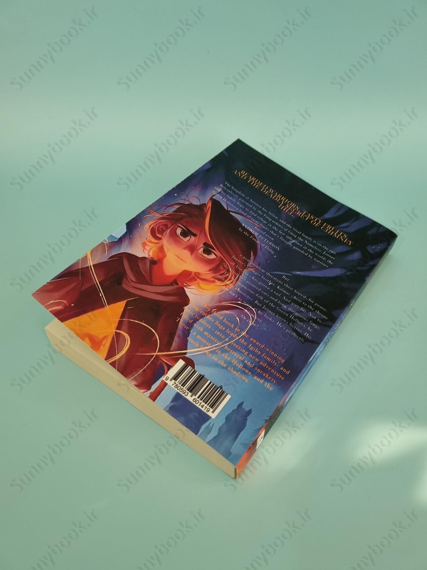 Monster in the Hollows: (Wingfeather Series 3) main 1 4