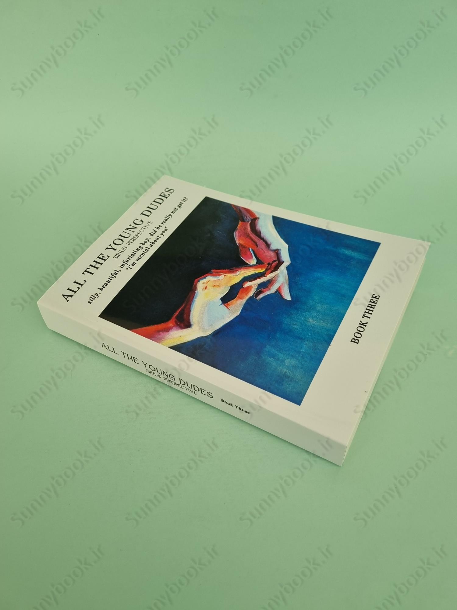 All the Young Dudes: Sirius's Perspective - Volume Three: Year 7 main 1 3