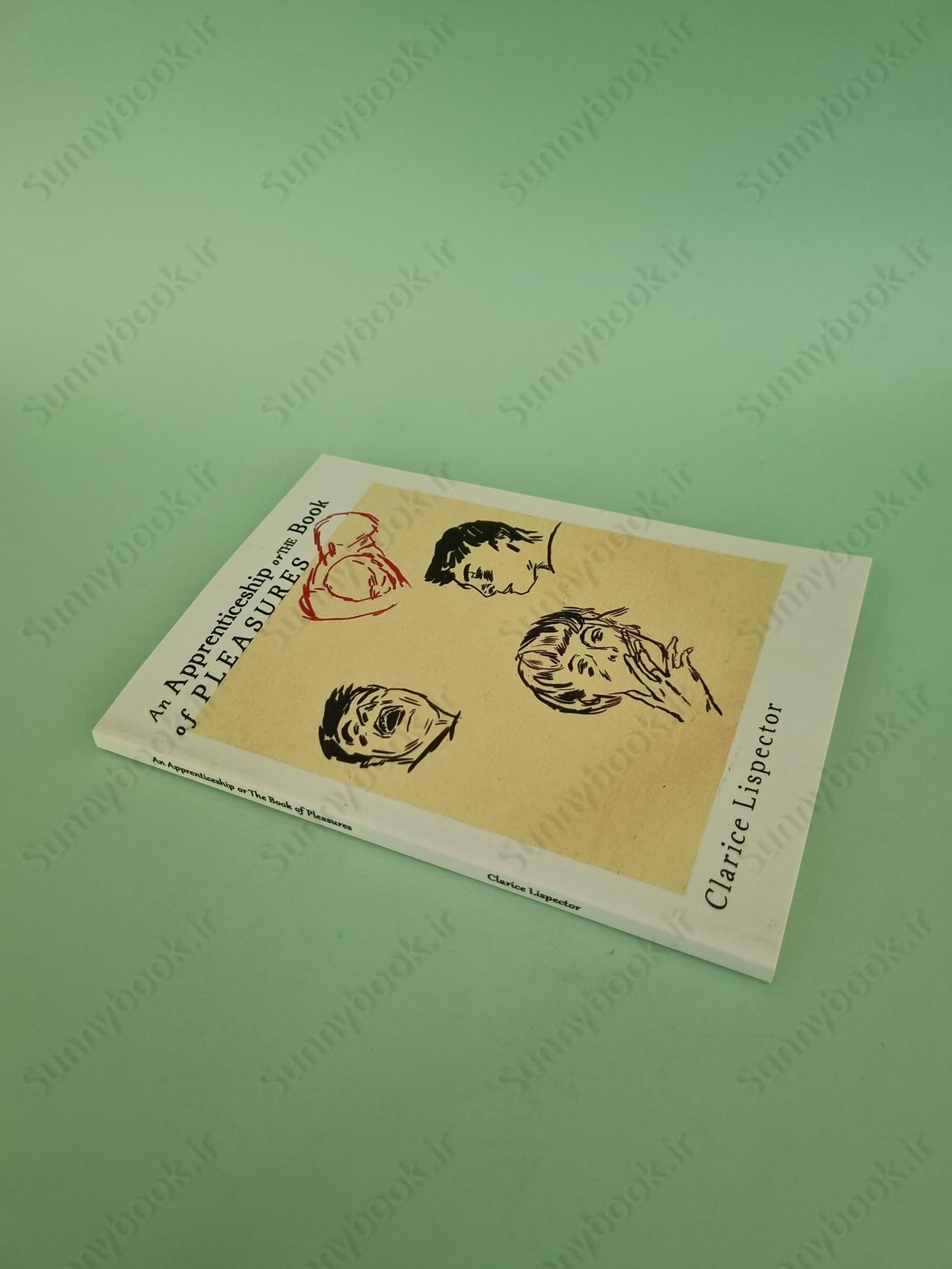 An Apprenticeship or The Book of Pleasures main 1 3